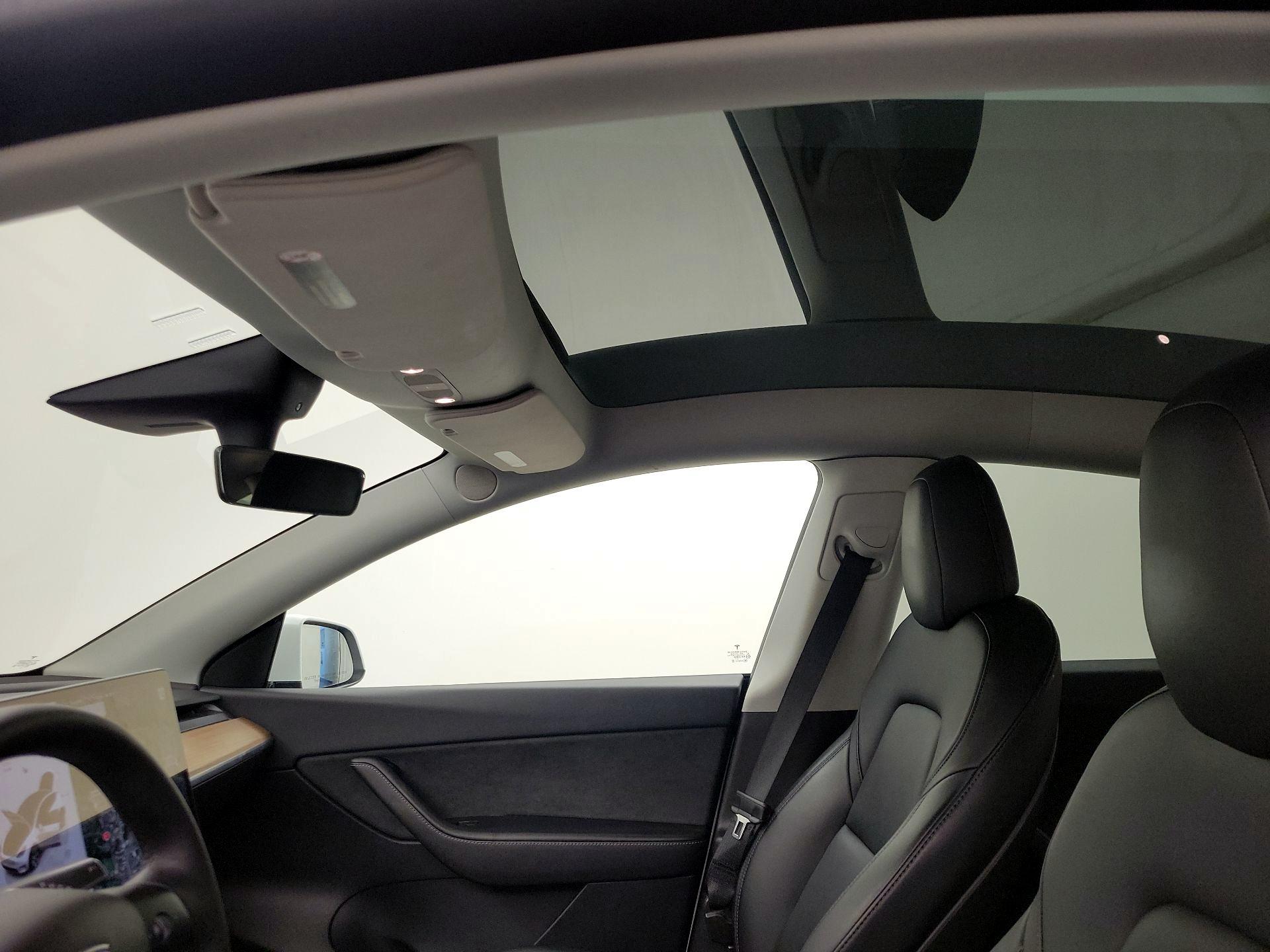 Thumbnail: 2022 Tesla Model Y - 19