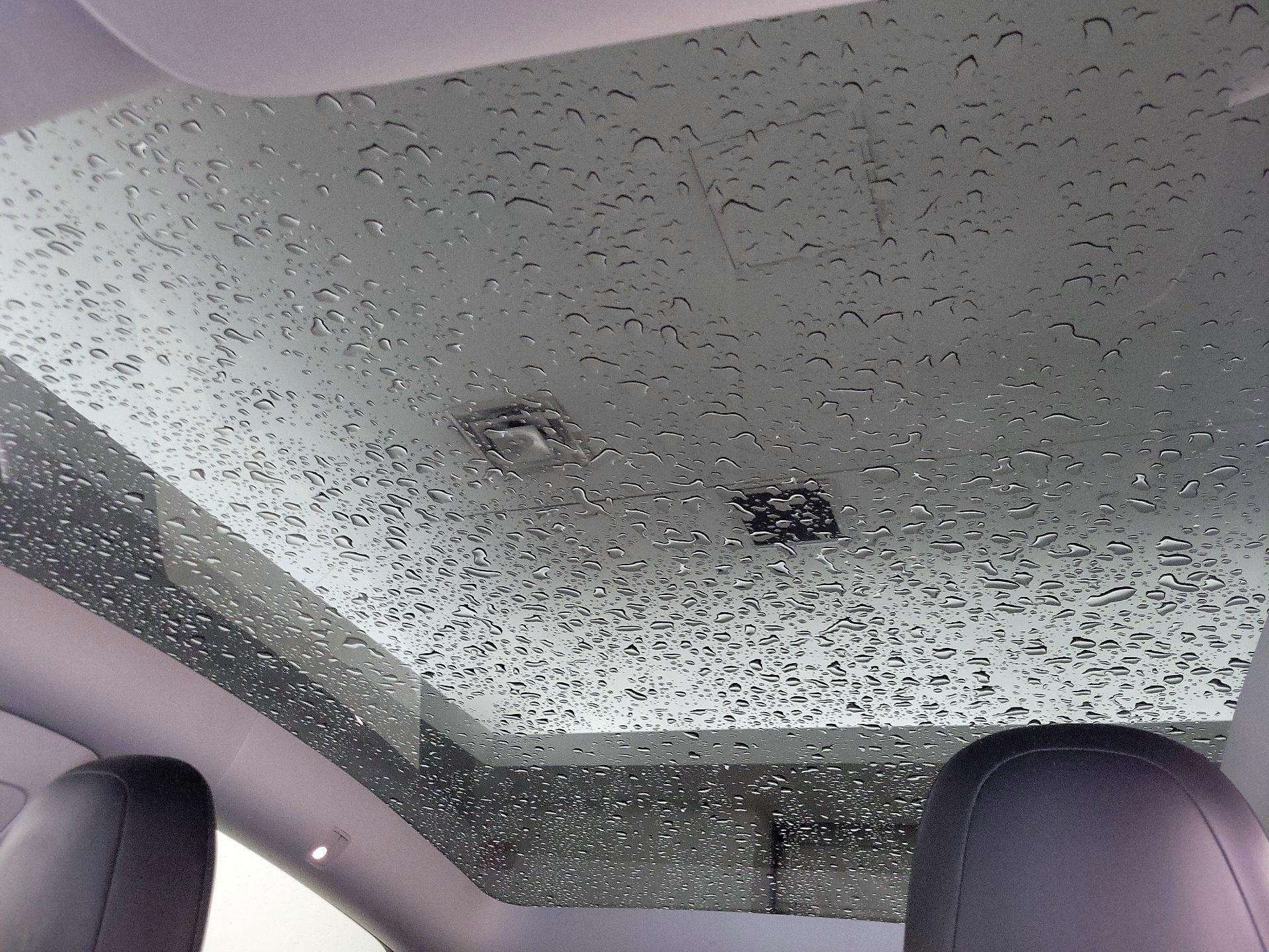 Thumbnail: 2021 Tesla Model Y - 19