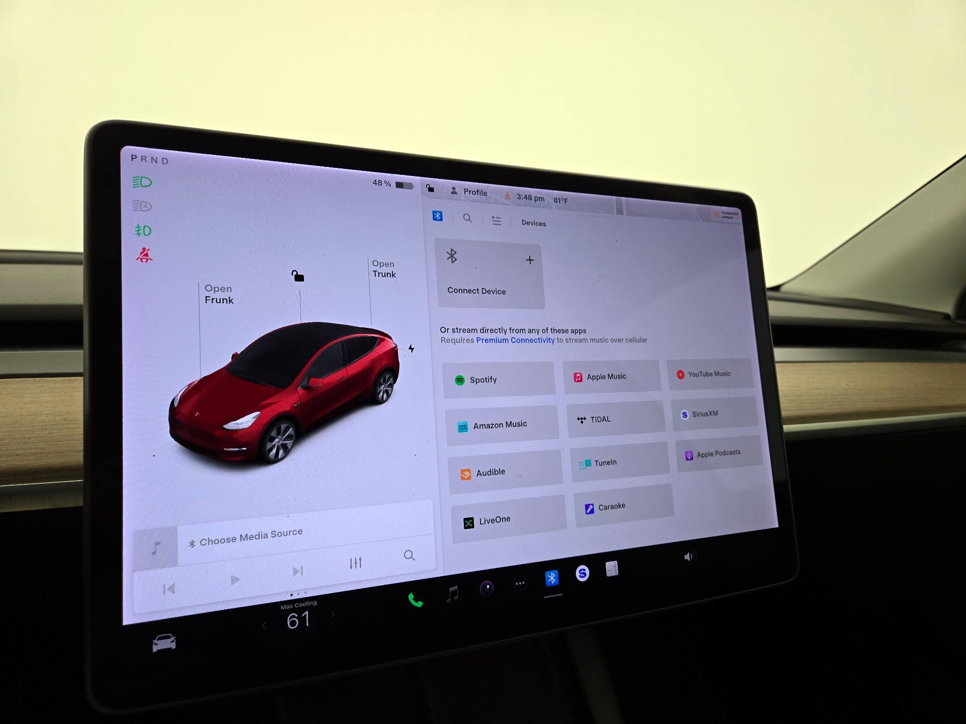 Thumbnail: 2021 Tesla Model Y - 15