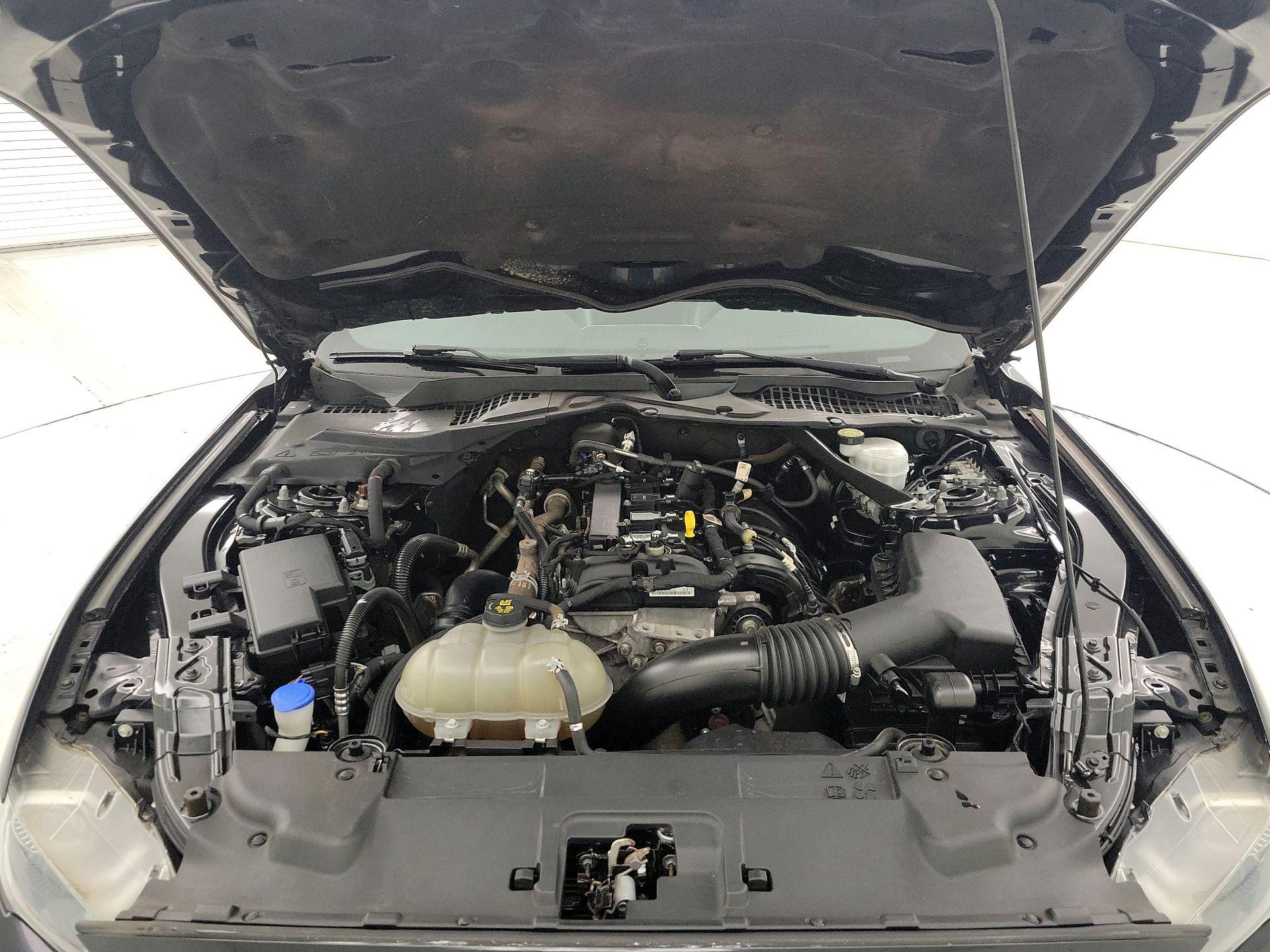 Thumbnail: 2021 Ford Mustang - 20