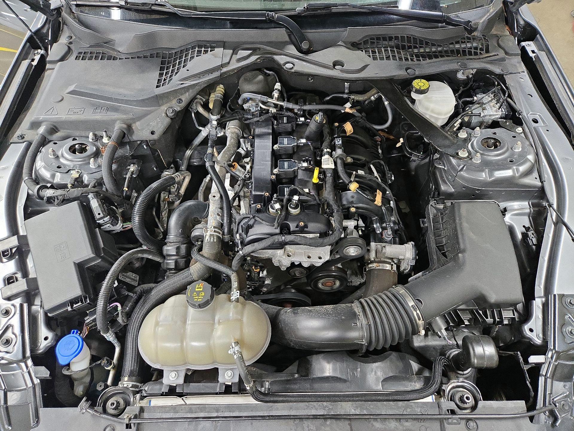 Thumbnail: 2023 Ford Mustang - 19