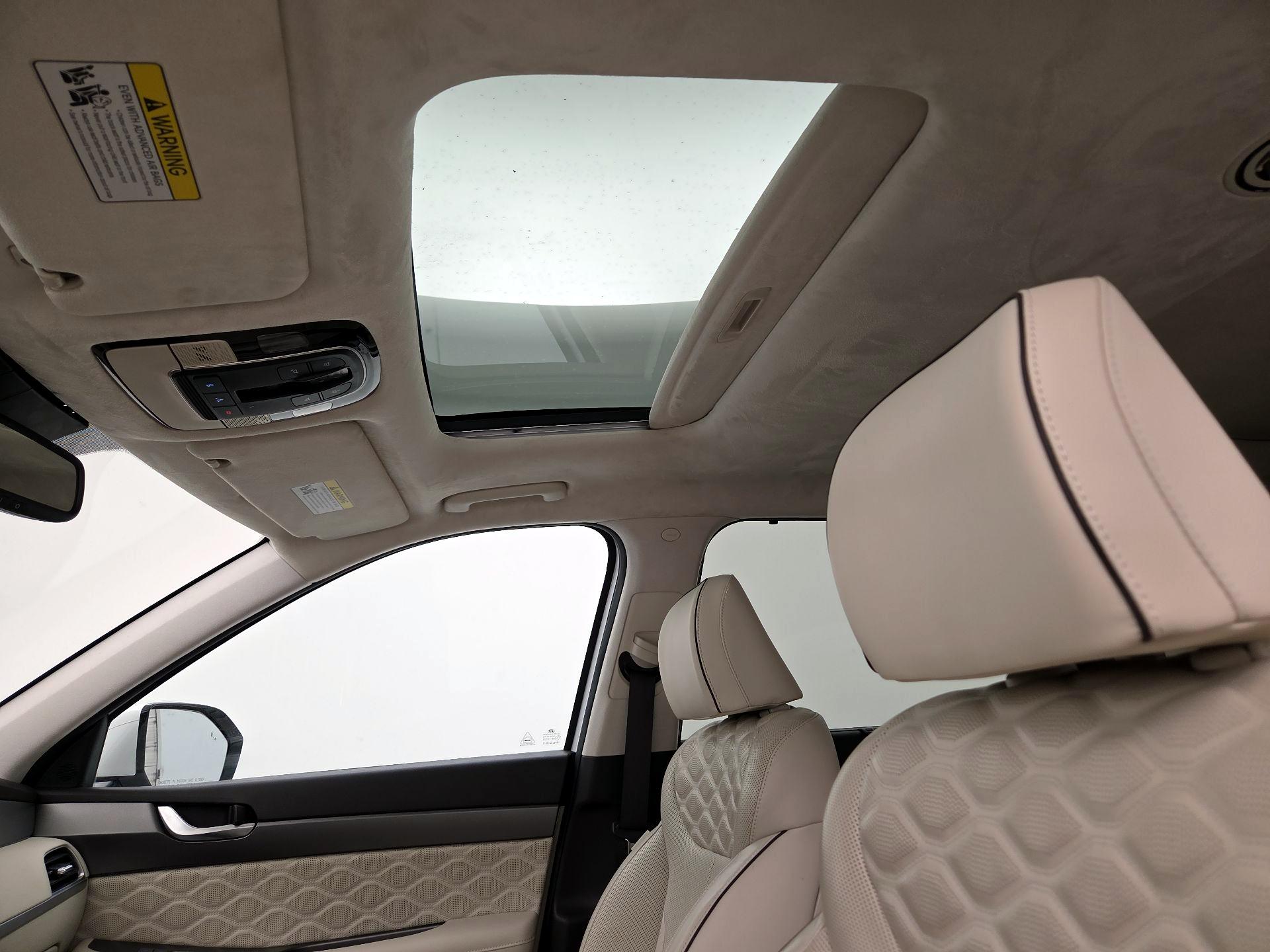 Thumbnail: 2020 Hyundai Palisade - 20