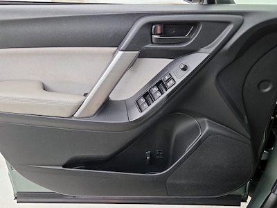 Driver Door Panel
