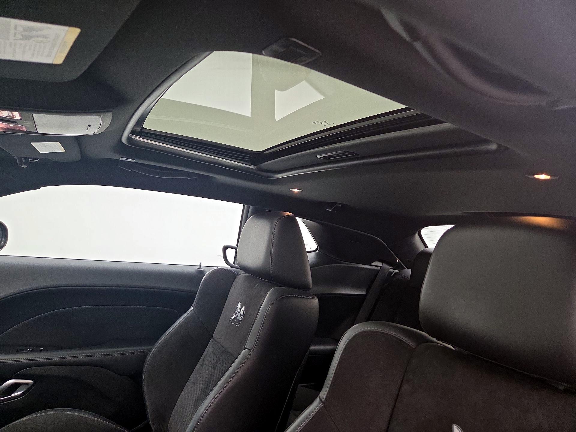 Thumbnail: 2019 Dodge Challenger - 19