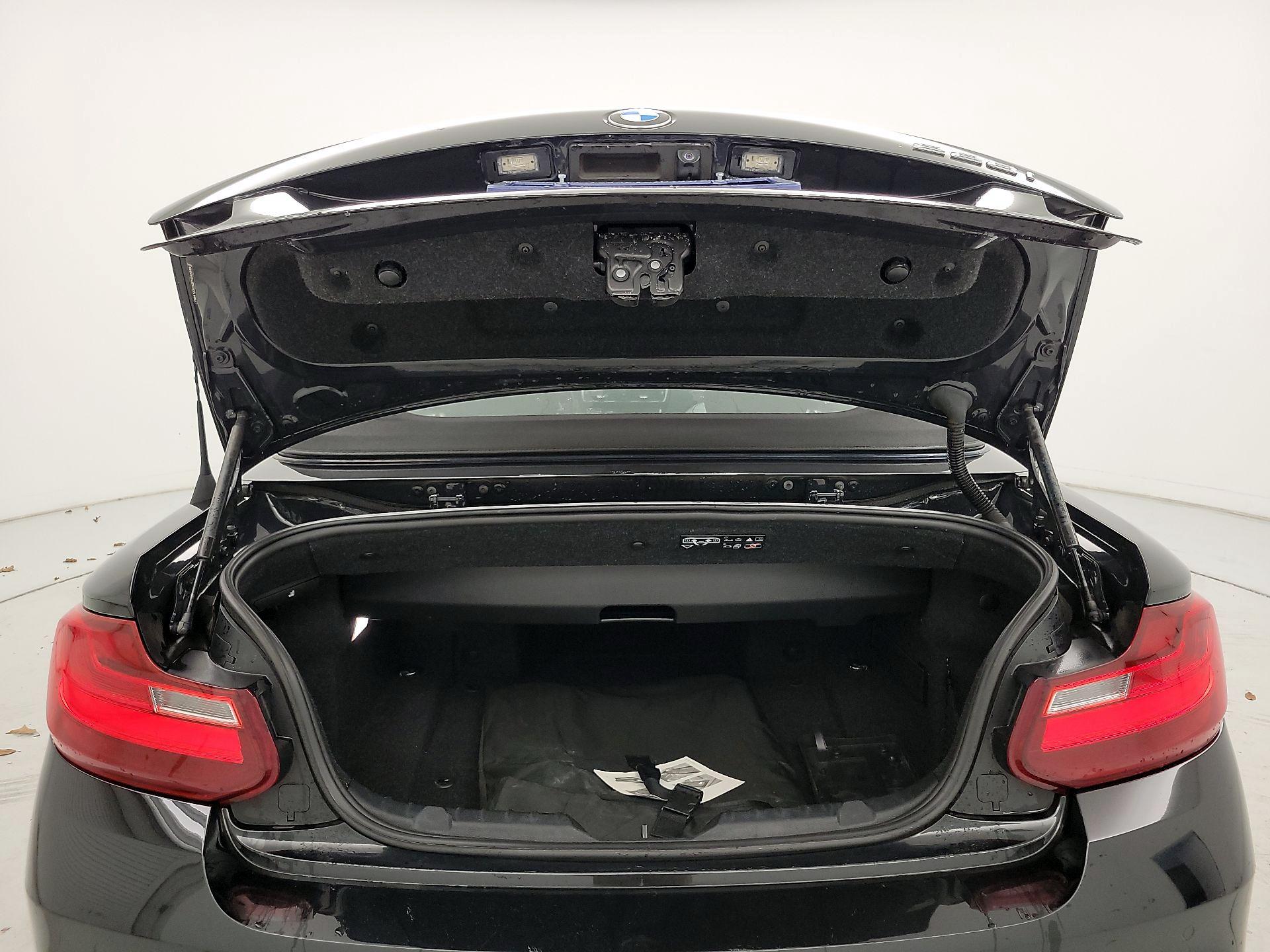 Thumbnail: 2015 BMW 2 Series - 20