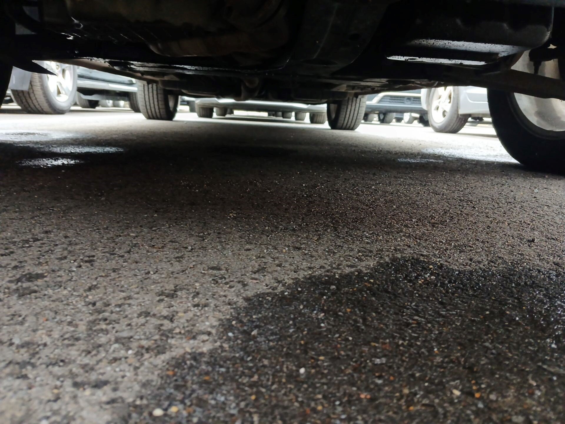 Thumbnail: 2020 Jeep Renegade - 13