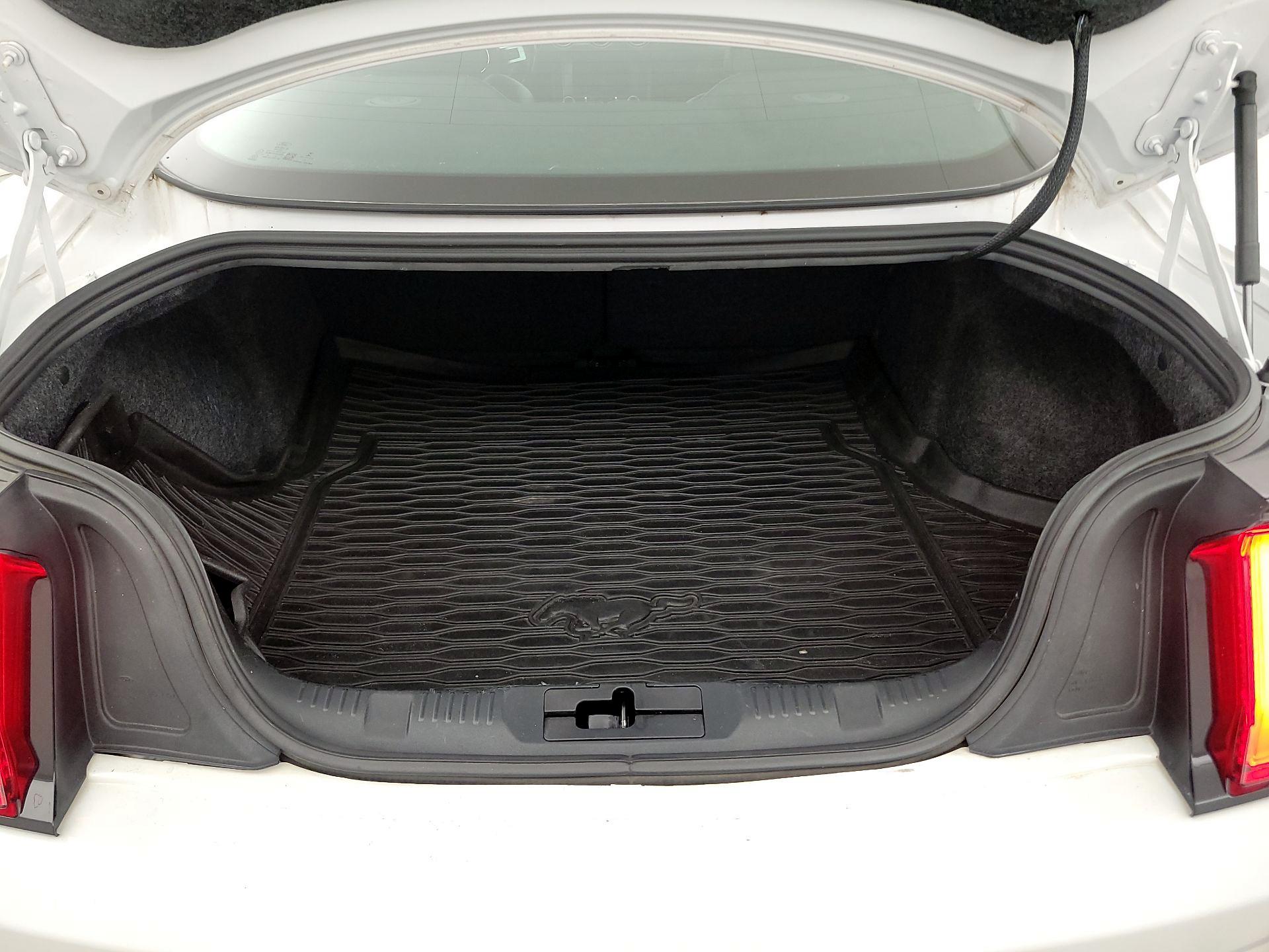 Thumbnail: 2019 Ford Mustang - 20