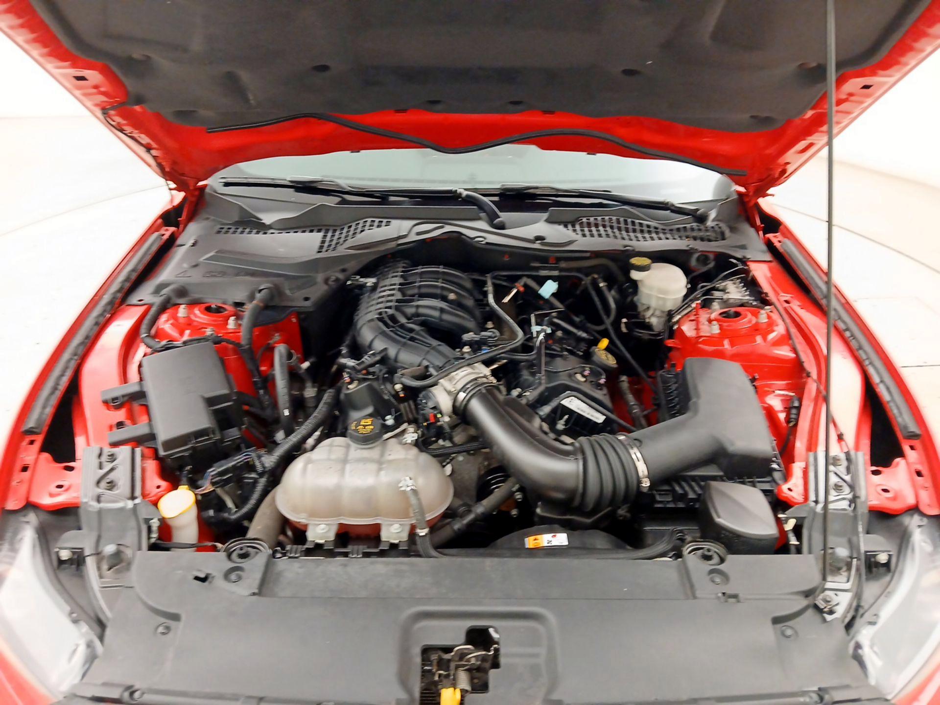 Thumbnail: 2015 Ford Mustang - 19