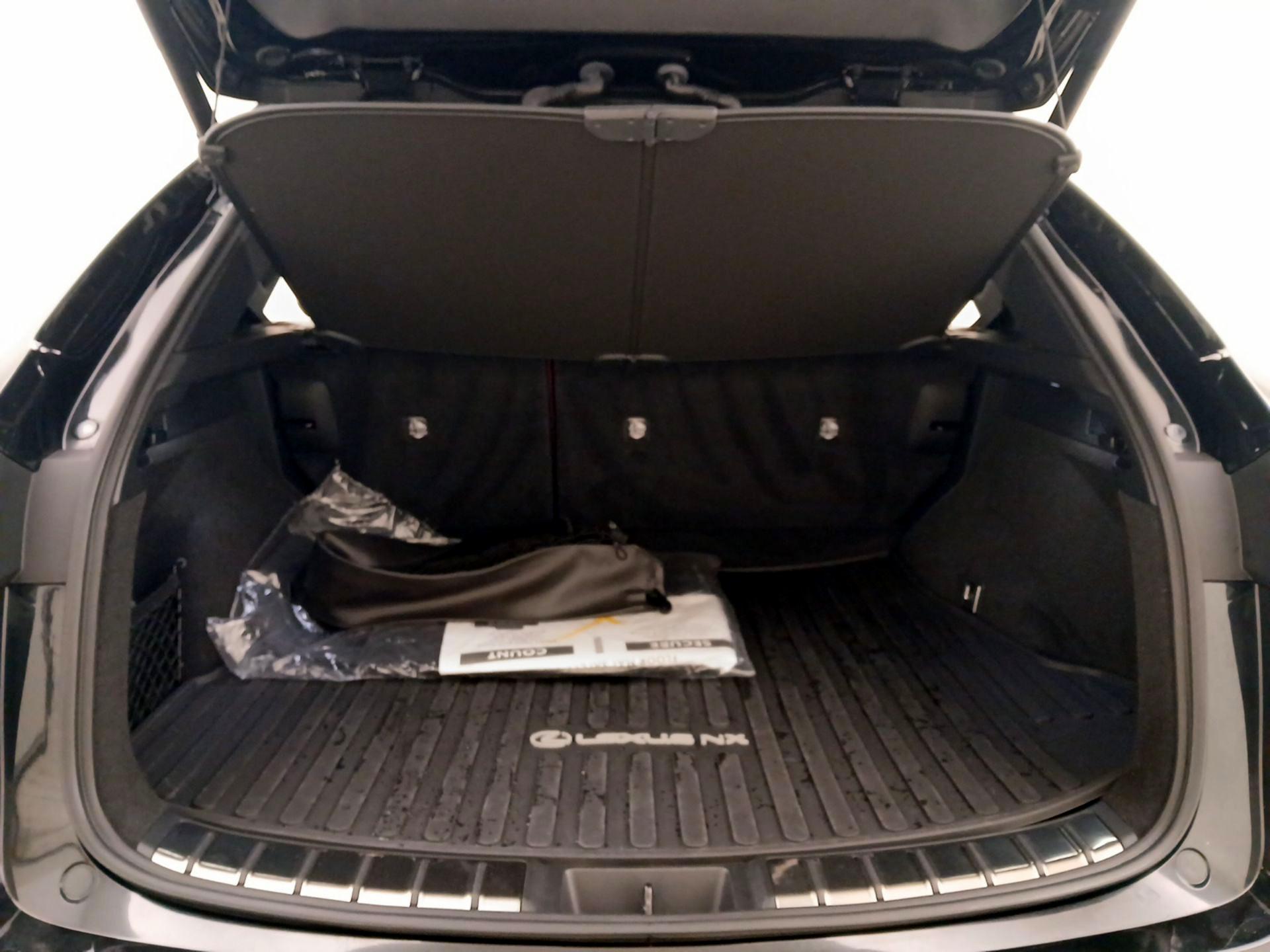 Thumbnail: 2024 Lexus NX - 19