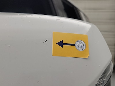 Condition detail