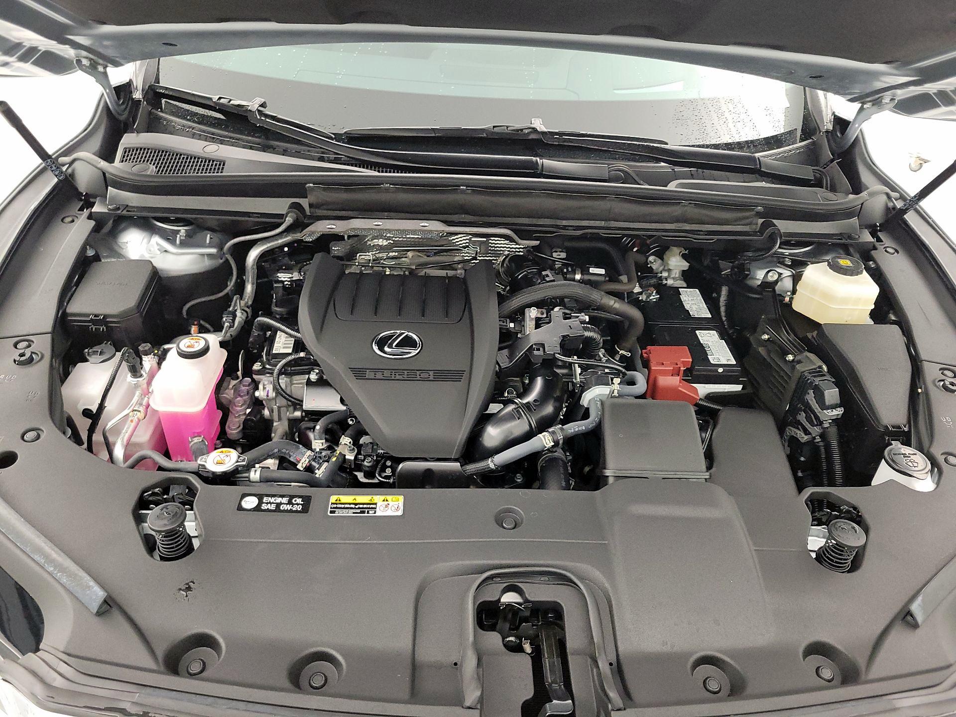 Thumbnail: 2024 Lexus RX - 20