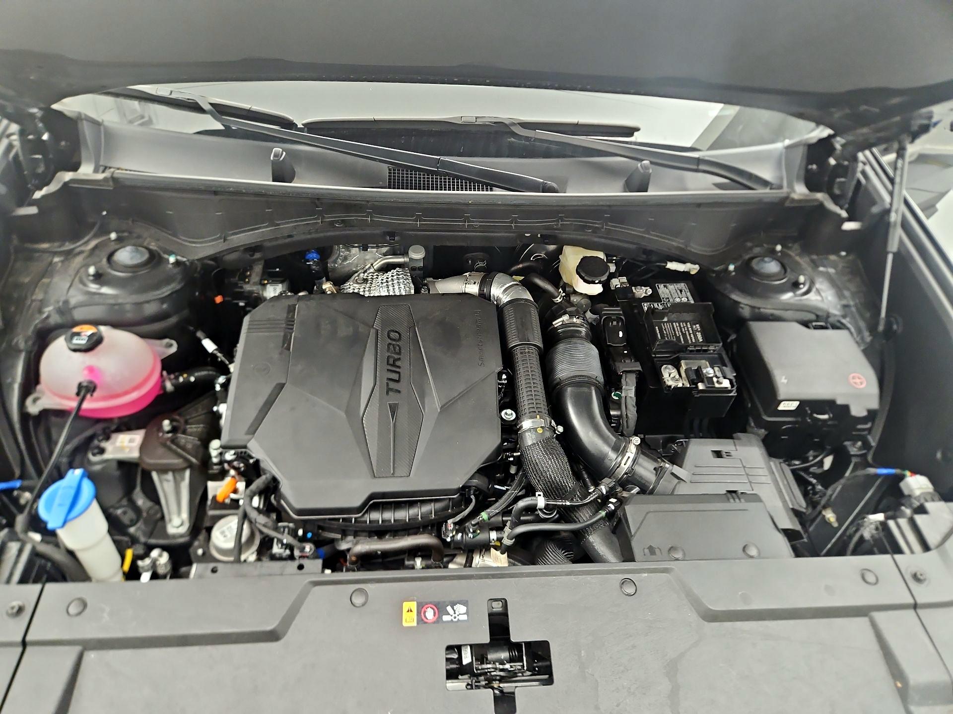 Thumbnail: 2025 Hyundai Santa Fe - 20