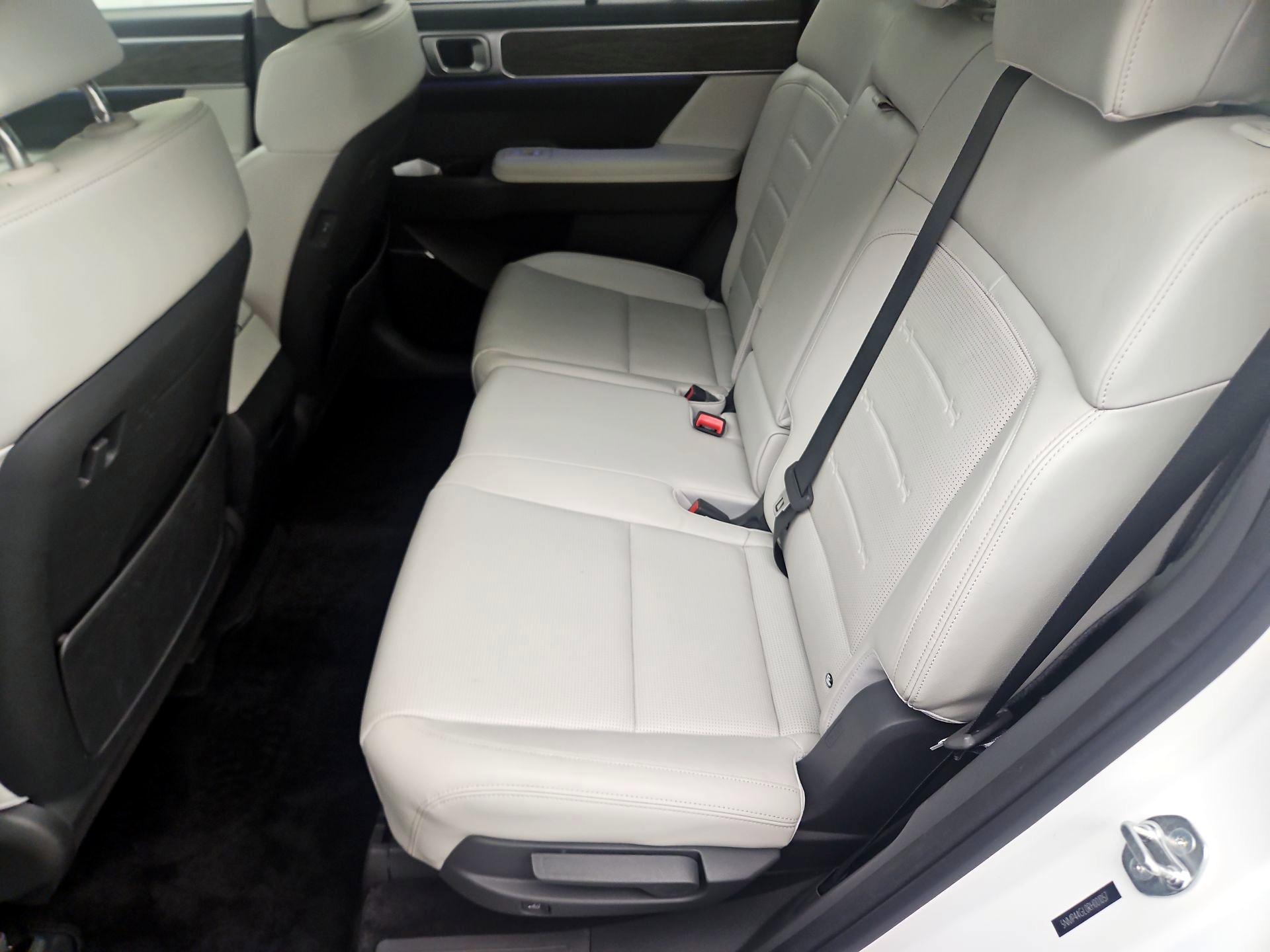 Thumbnail: 2024 Hyundai Santa Fe - 19