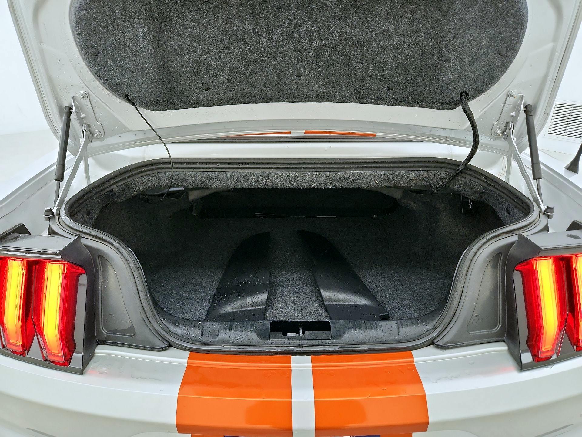 Thumbnail: 2019 Ford Mustang - 19