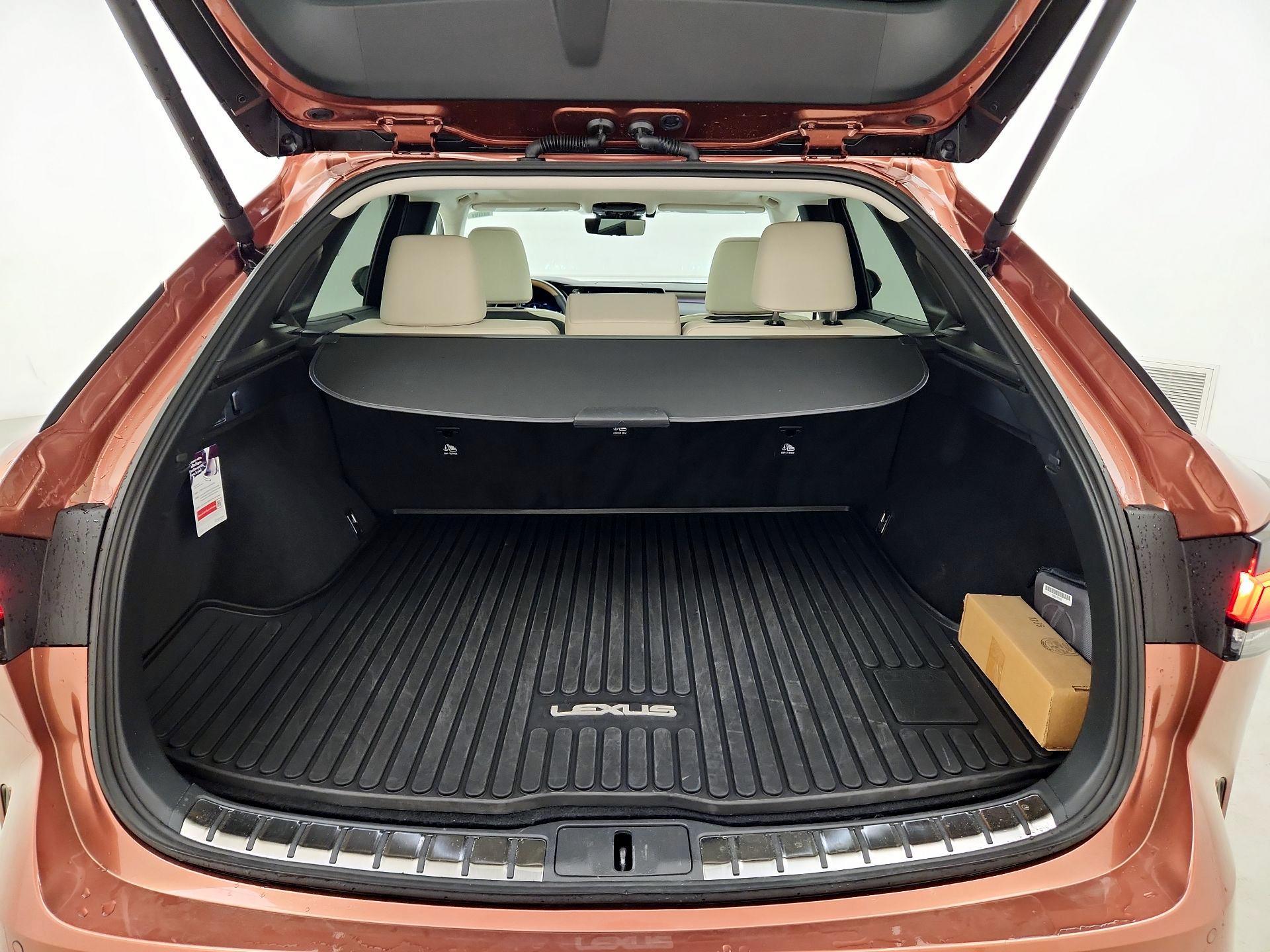 Thumbnail: 2025 Lexus RX - 20