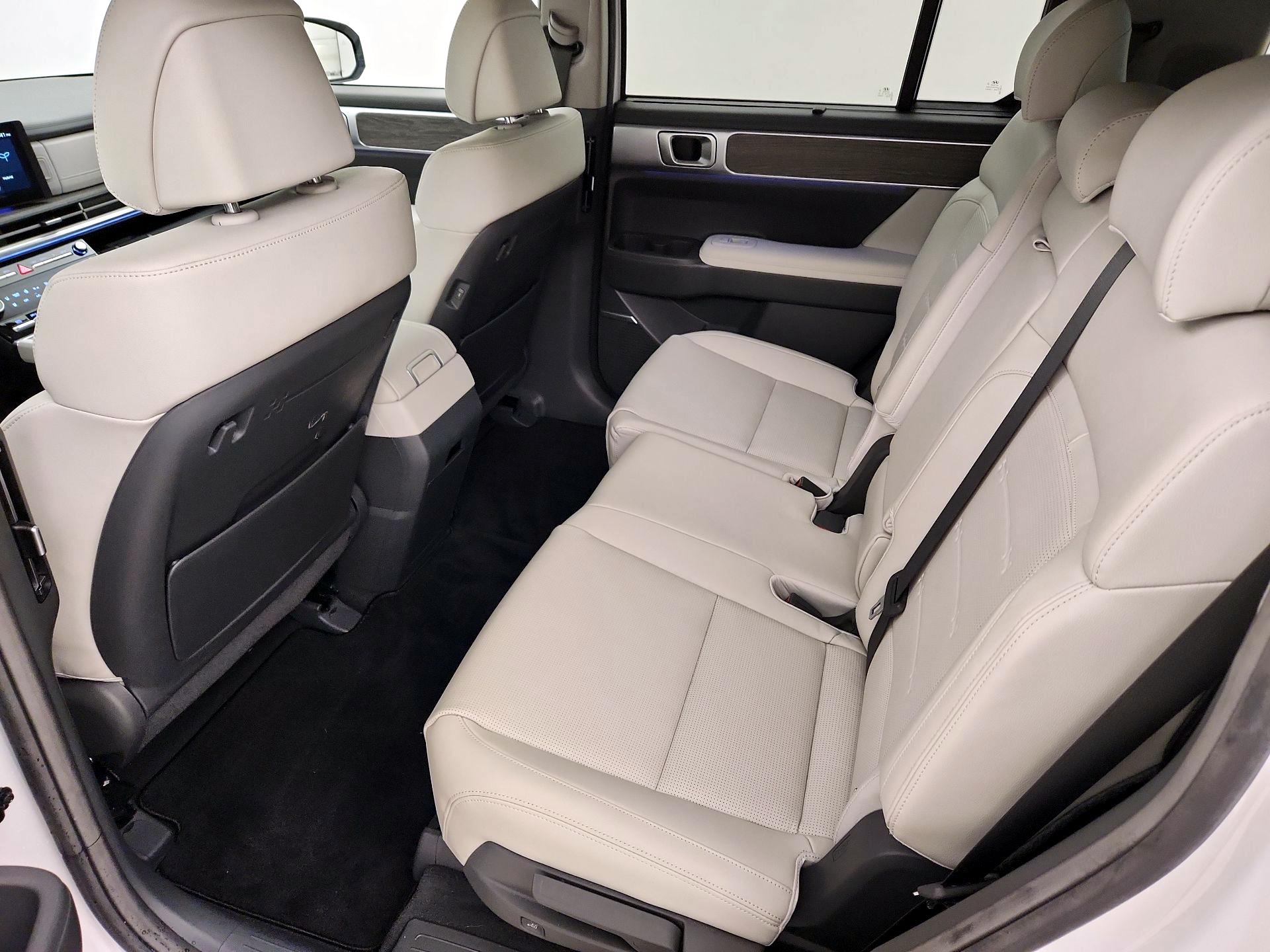 Thumbnail: 2024 Hyundai Santa Fe - 19