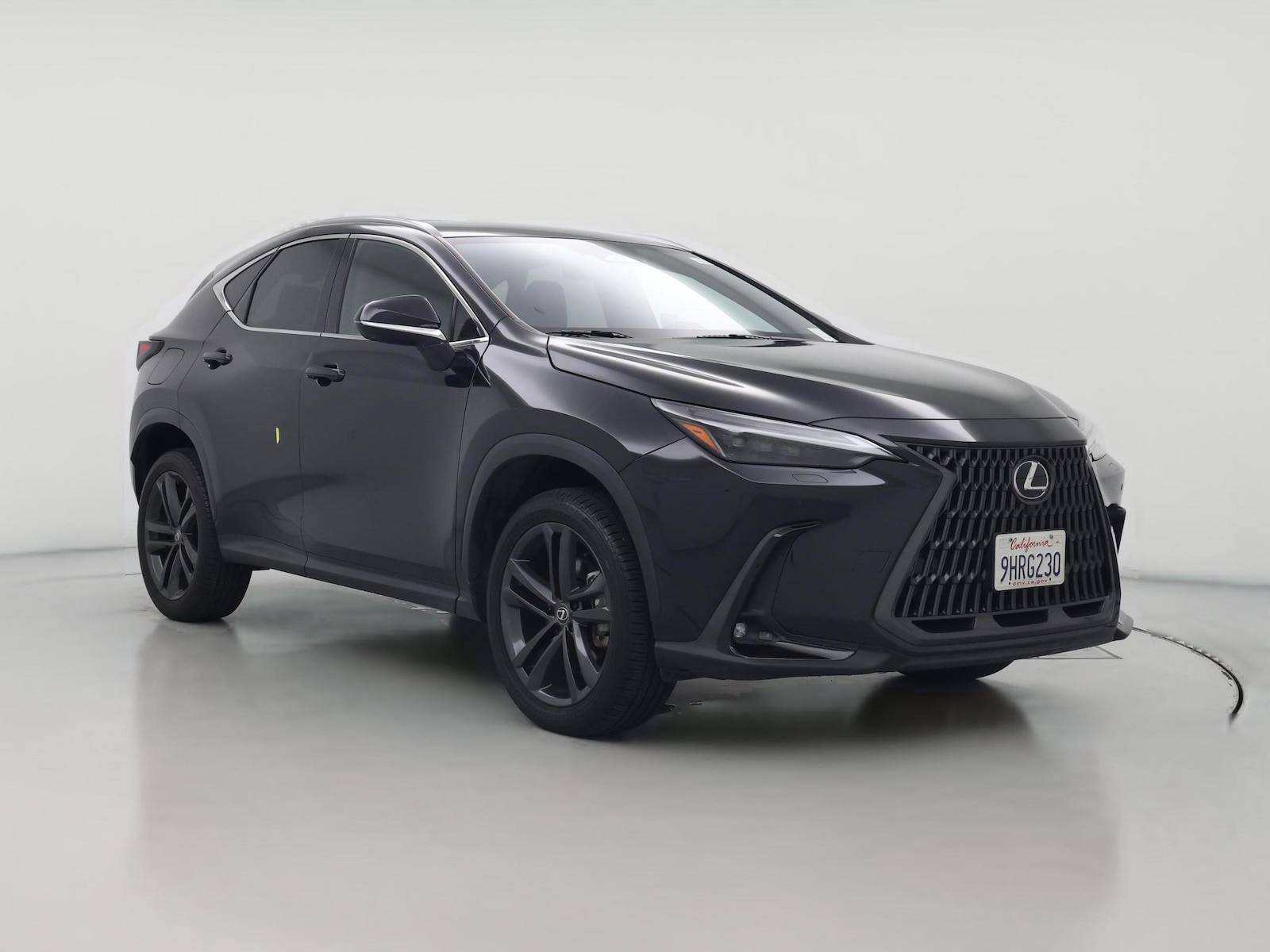 2024 Lexus NX PHEV