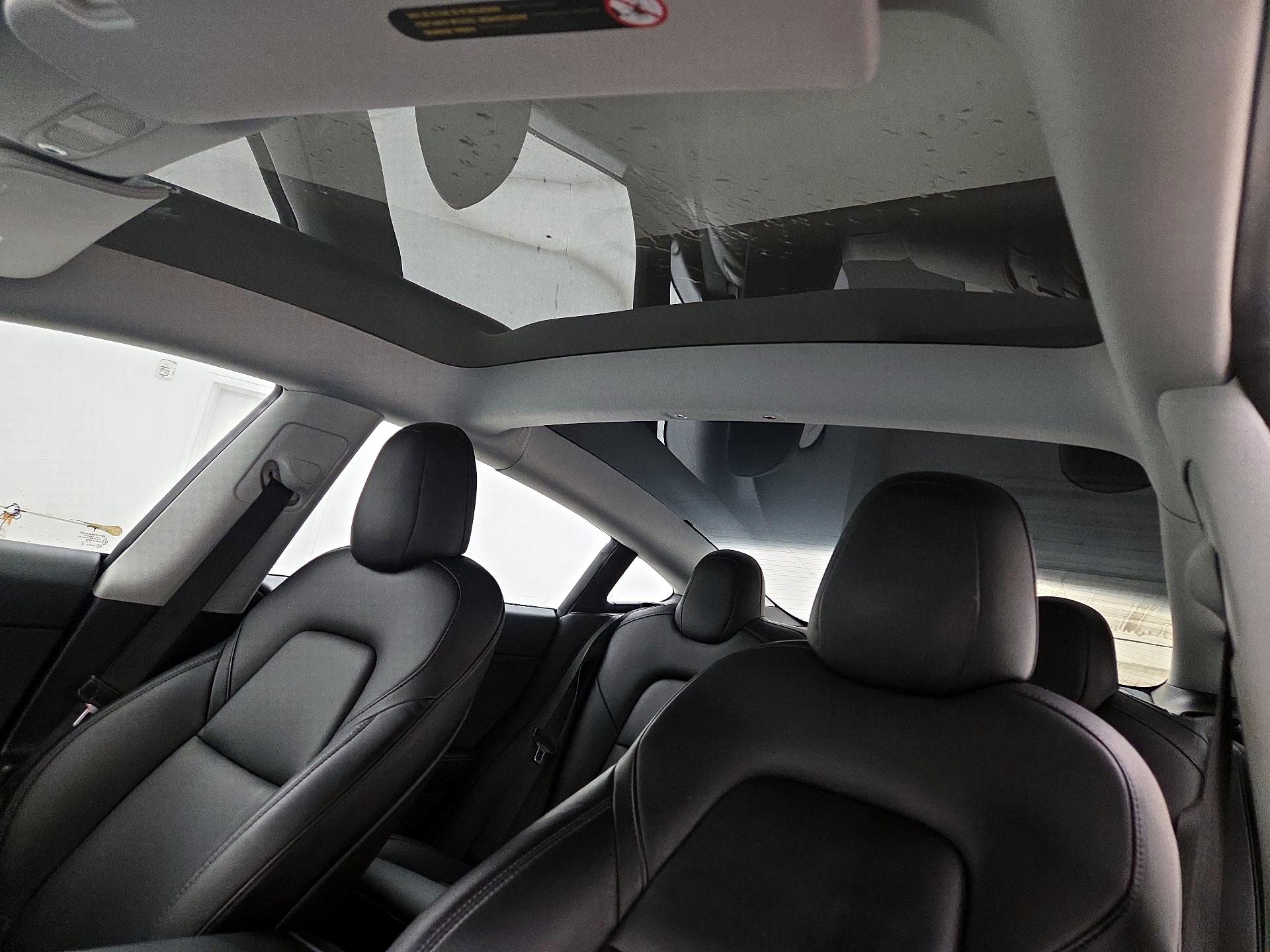 Thumbnail: 2021 Tesla Model 3 - 19