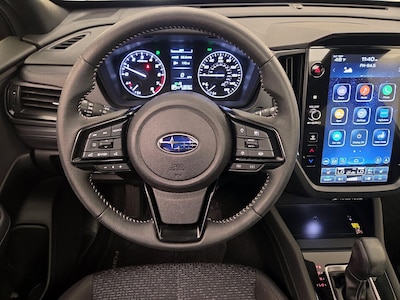 Steering Wheel & Instrument Cluster (On)