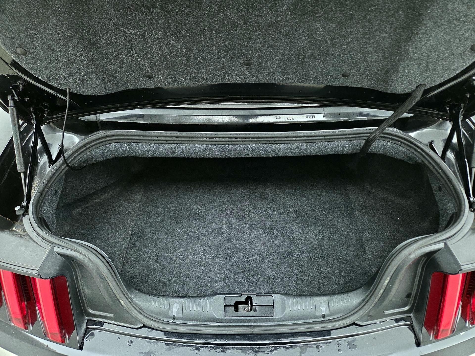 Thumbnail: 2015 Ford Mustang - 19