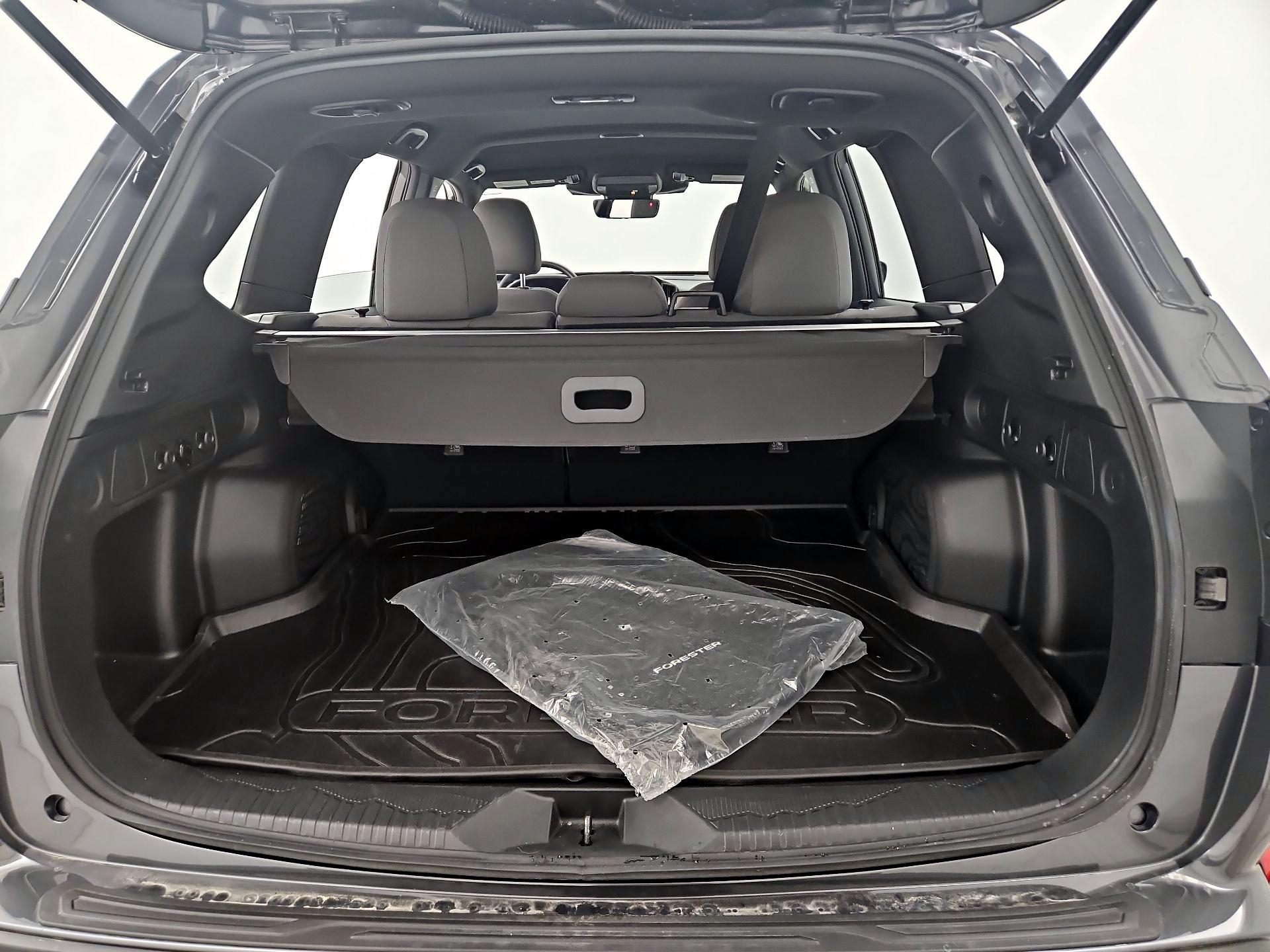 Thumbnail: 2025 Subaru Forester - 20