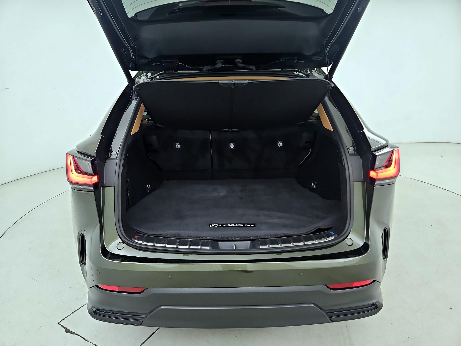 Thumbnail: 2025 Lexus NX - 20