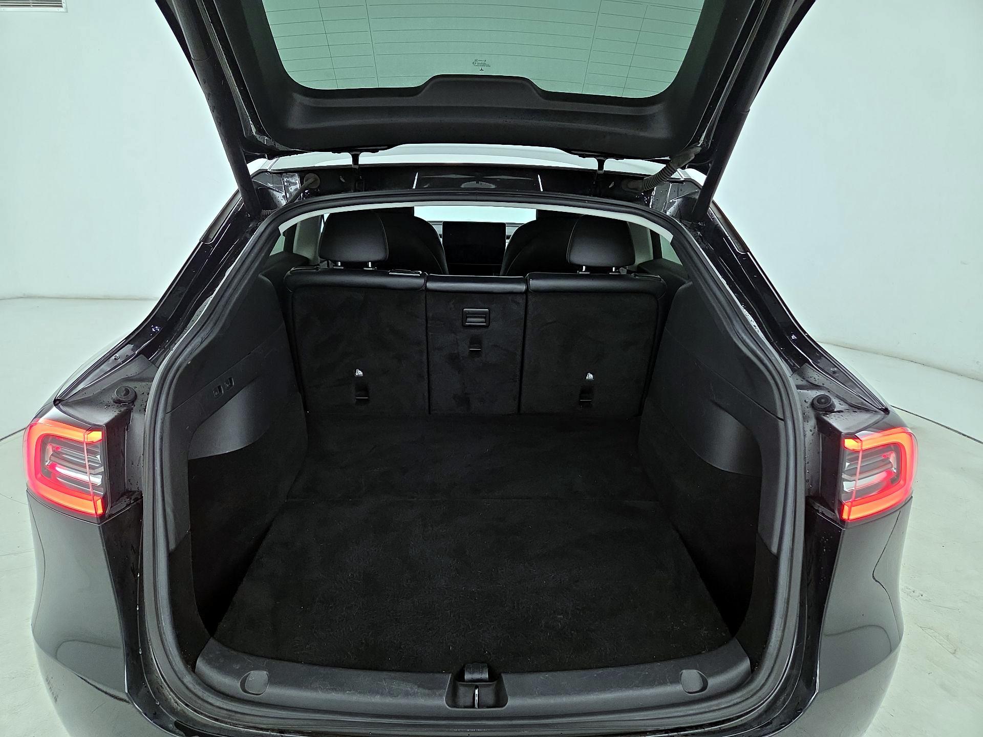 Thumbnail: 2021 Tesla Model Y - 20