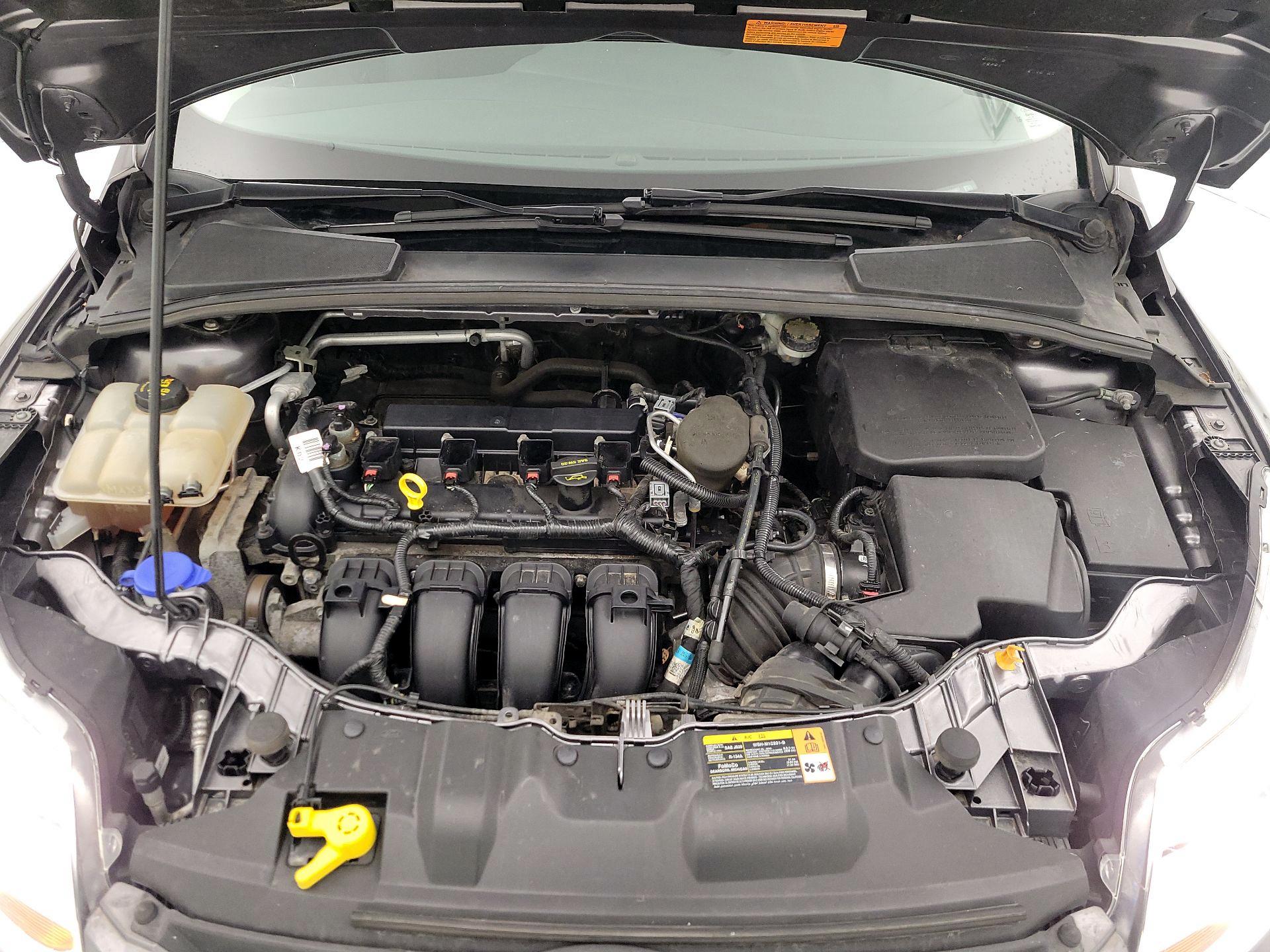 Thumbnail: 2014 Ford Focus - 20