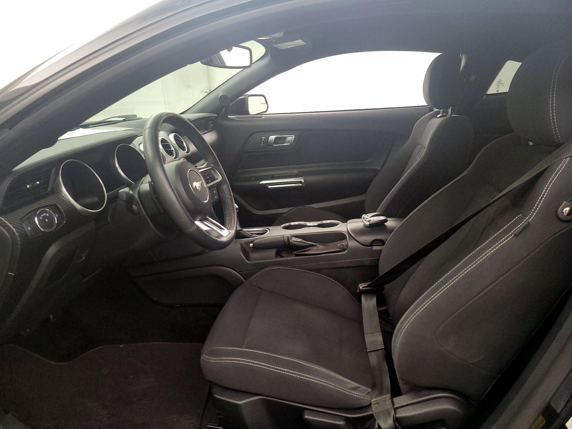 Thumbnail: 2019 Ford Mustang - 11