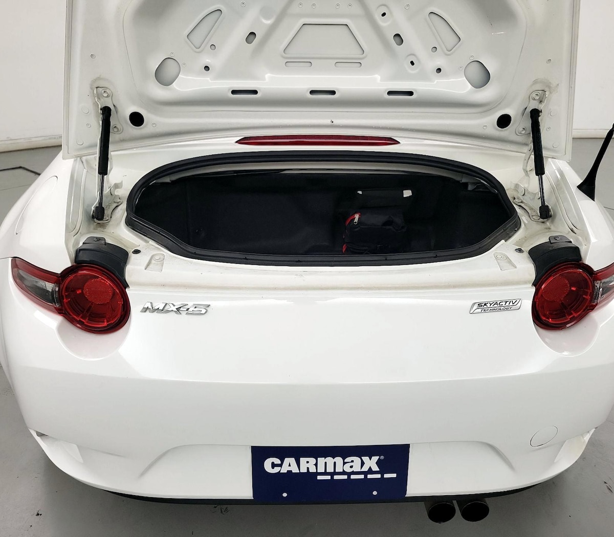 Trunk/Cargo (Seats Up)