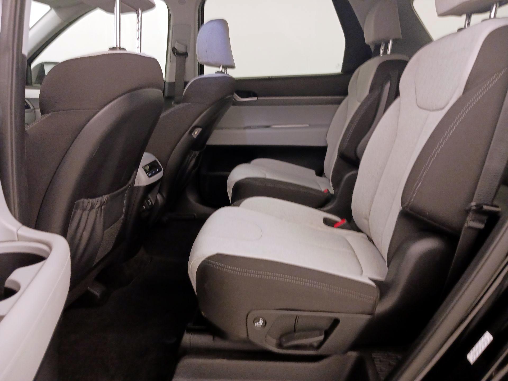 Thumbnail: 2020 Hyundai Palisade - 20