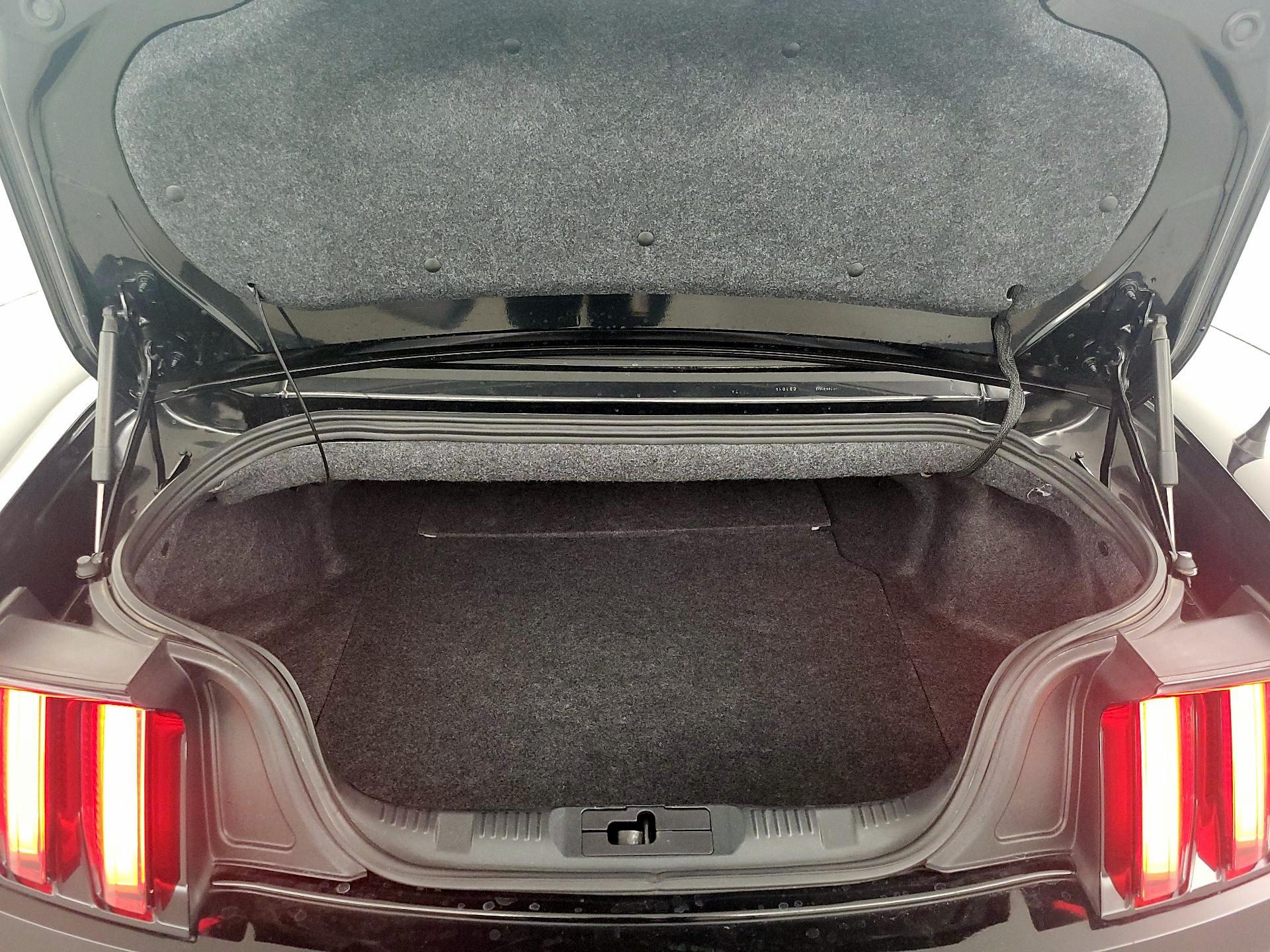 Thumbnail: 2015 Ford Mustang - 20