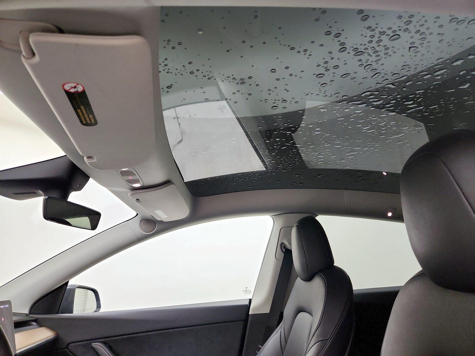 Thumbnail: 2022 Tesla Model Y - 19