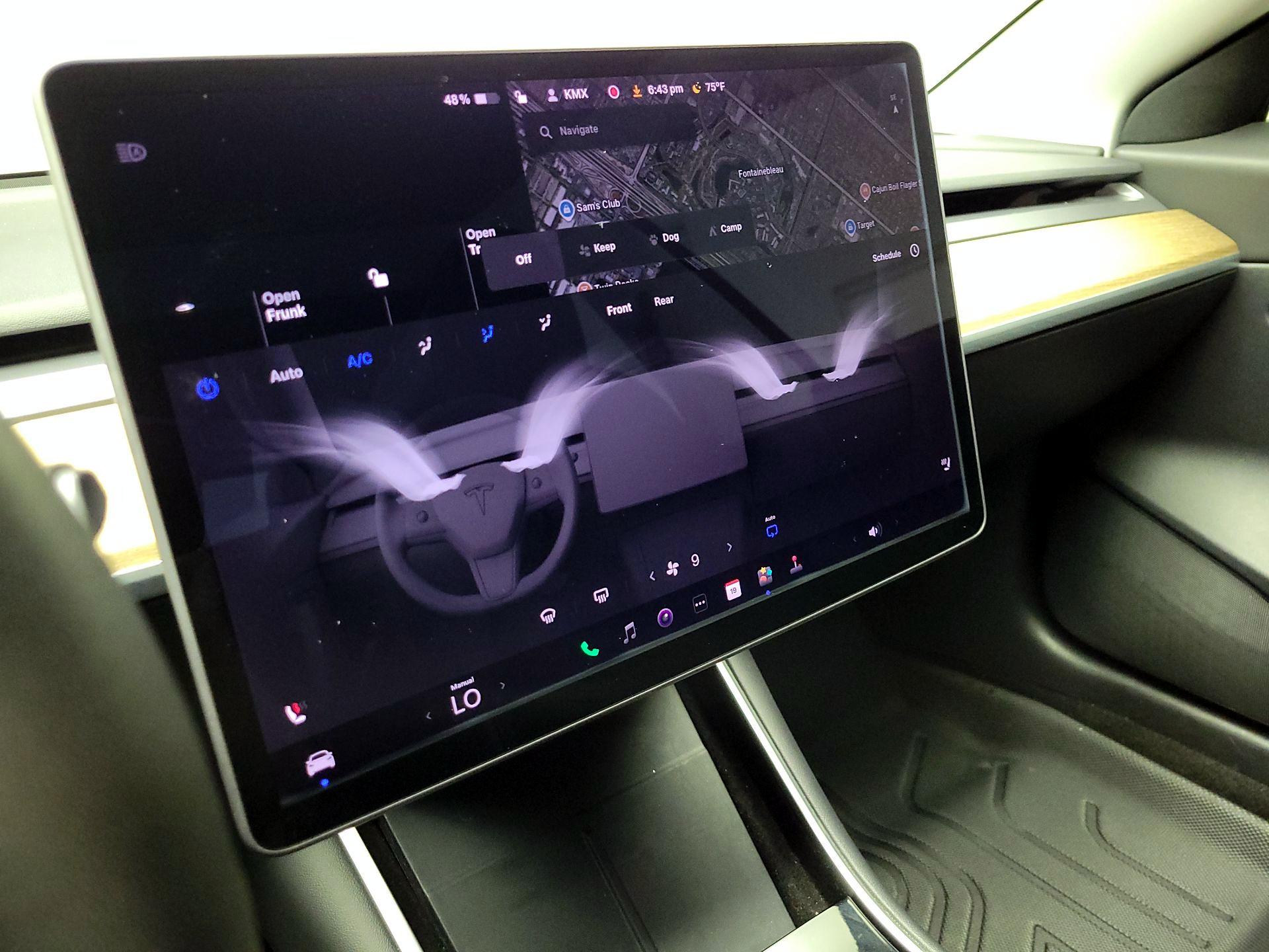 Thumbnail: 2020 Tesla Model 3 - 14