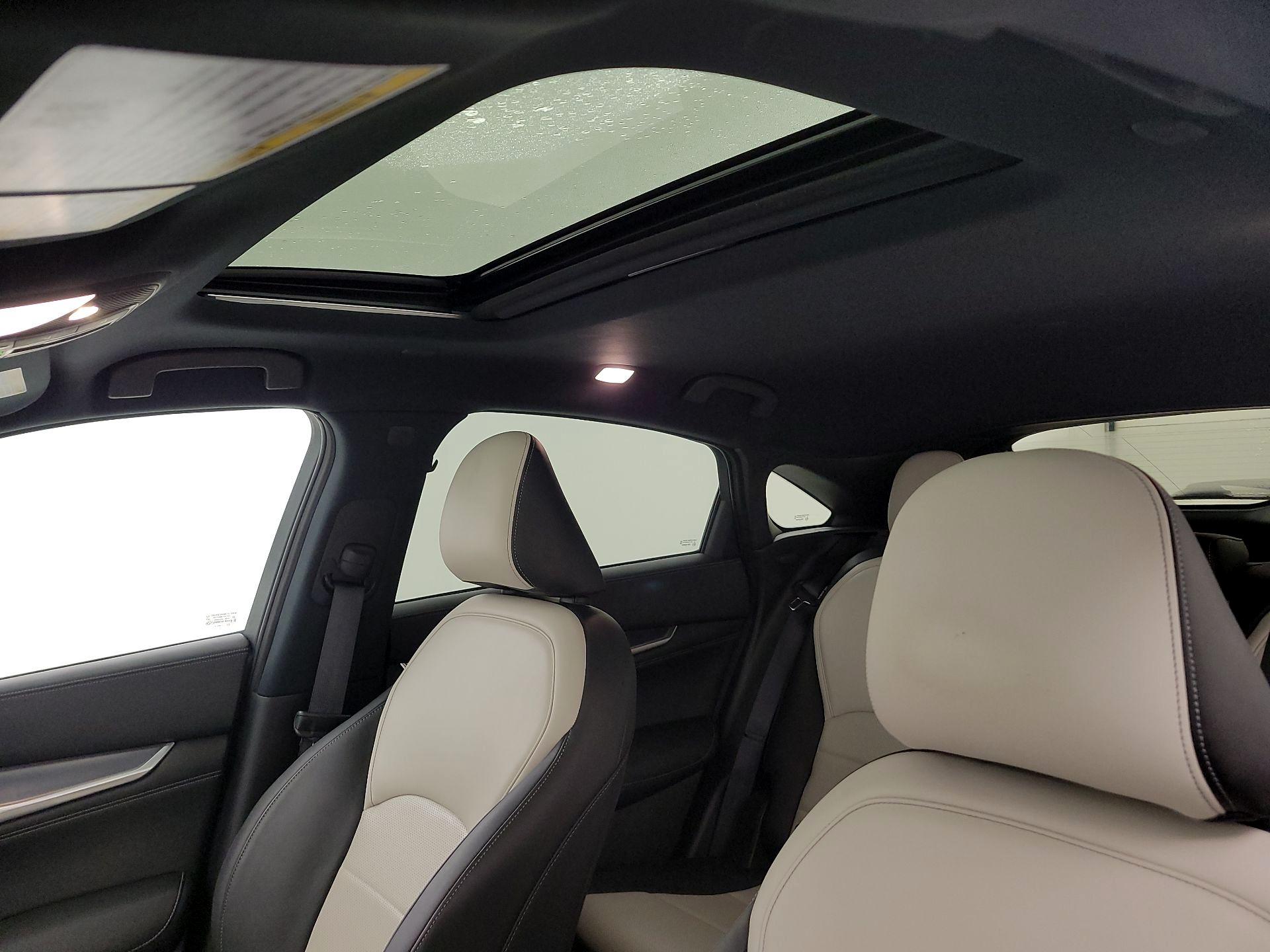 Thumbnail: 2023 INFINITI QX55 - 19