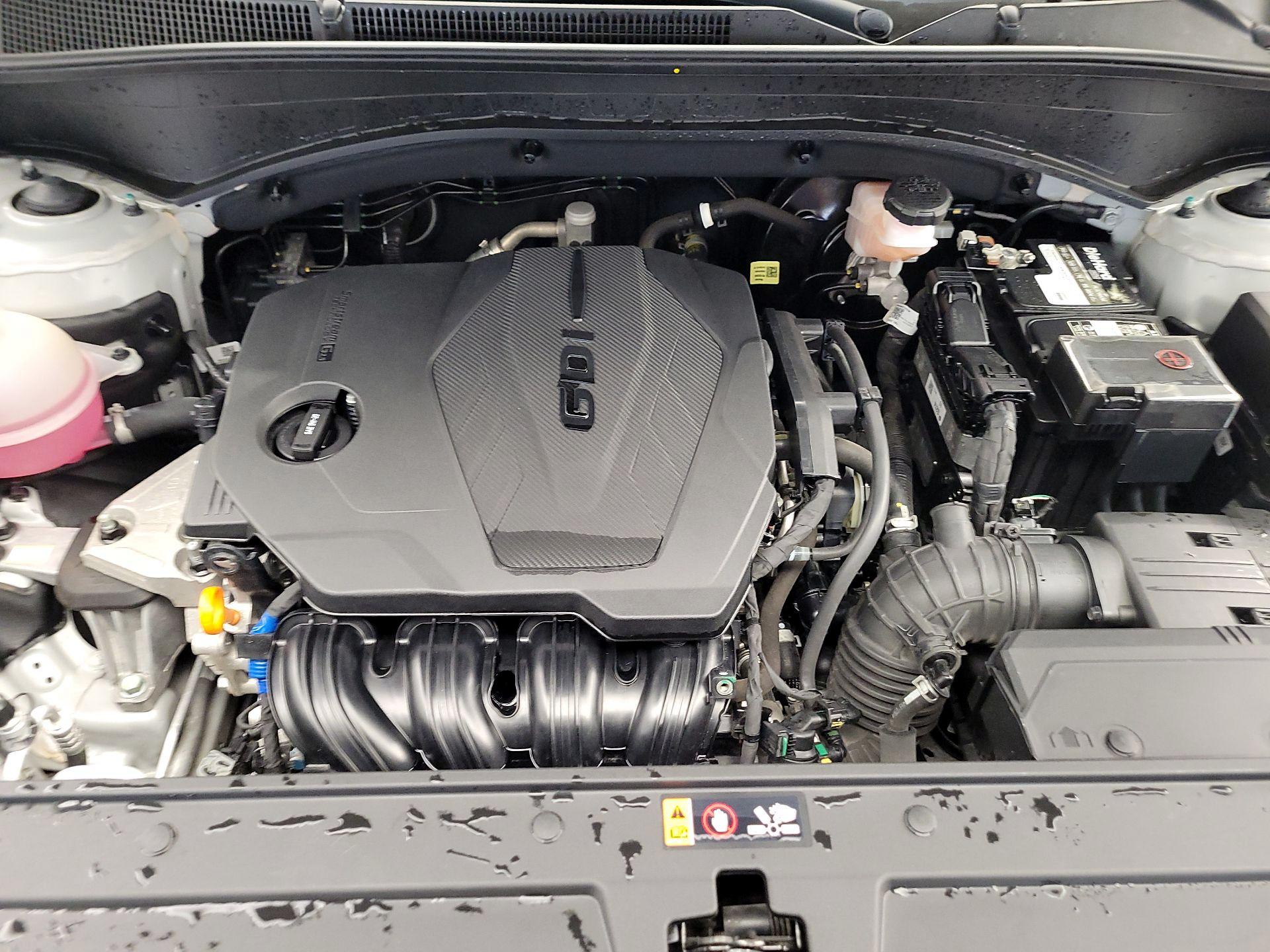 Thumbnail: 2022 Hyundai Santa Fe - 17