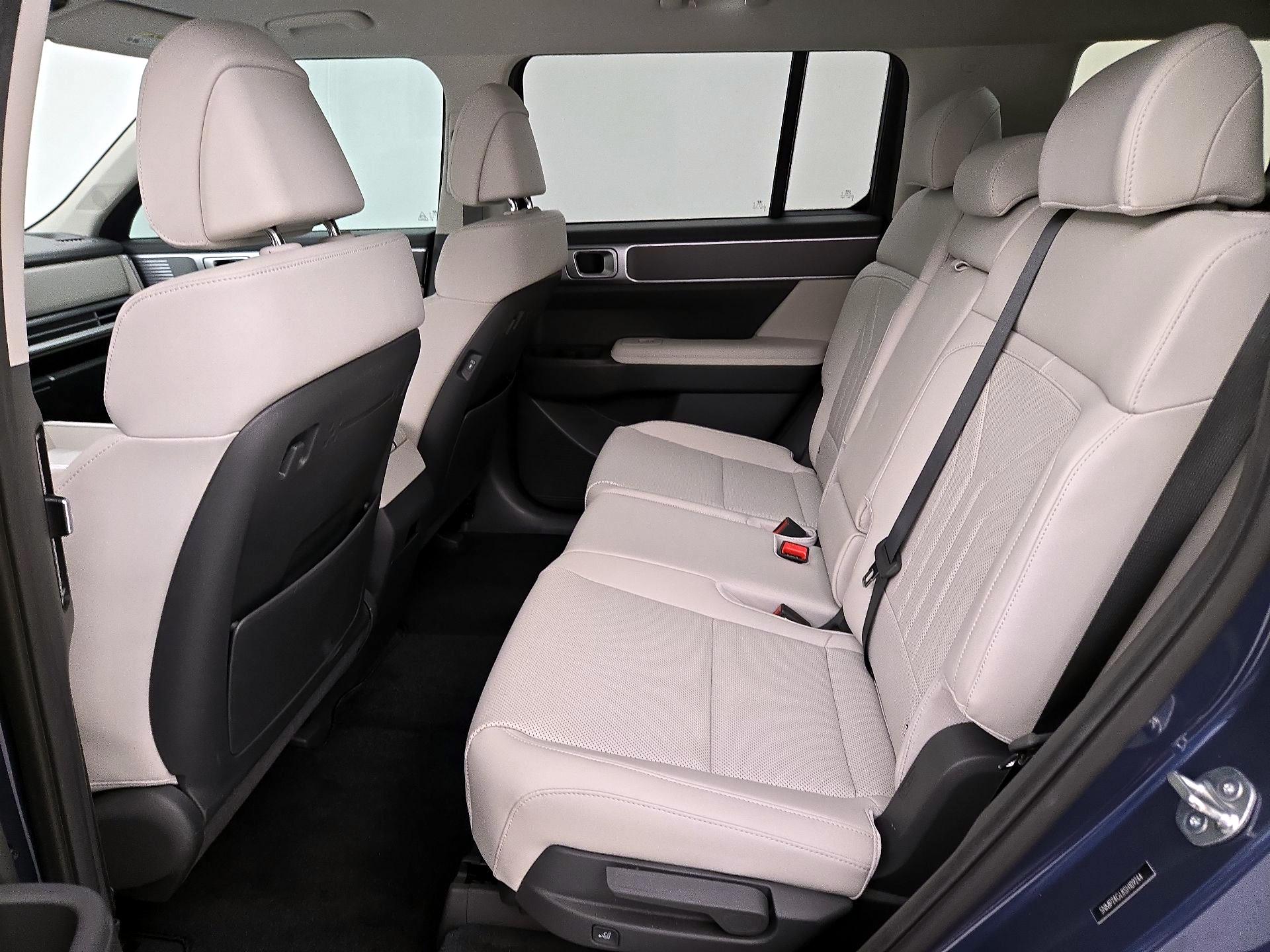 Thumbnail: 2025 Hyundai Santa Fe - 19