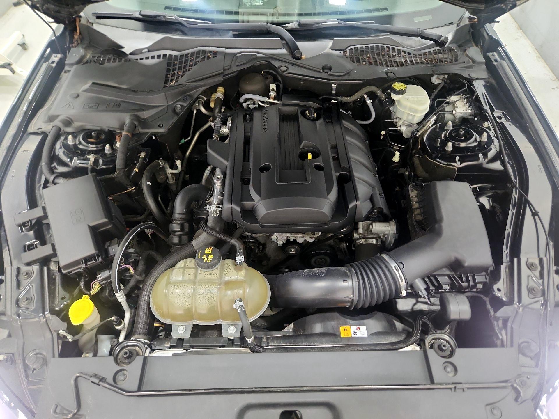 Thumbnail: 2017 Ford Mustang - 19