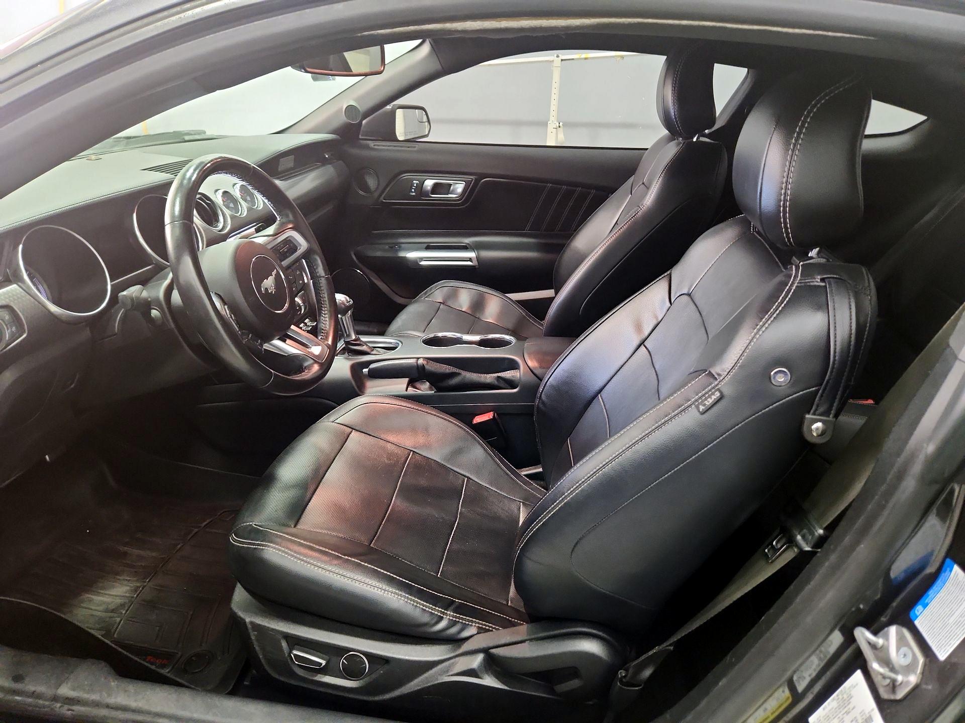 Thumbnail: 2019 Ford Mustang - 11