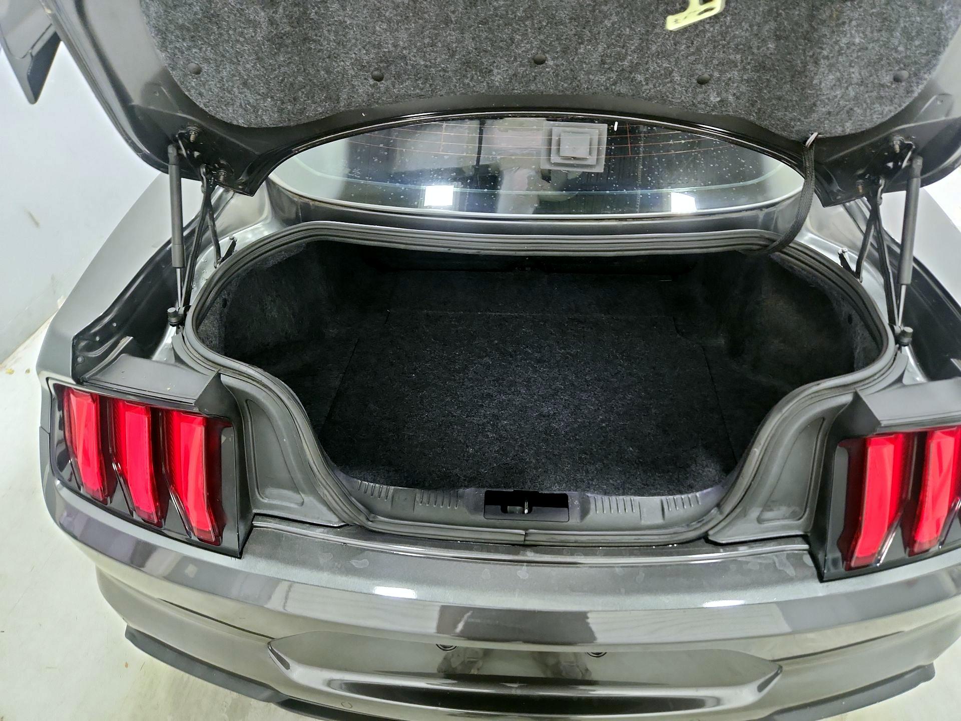 Thumbnail: 2019 Ford Mustang - 20