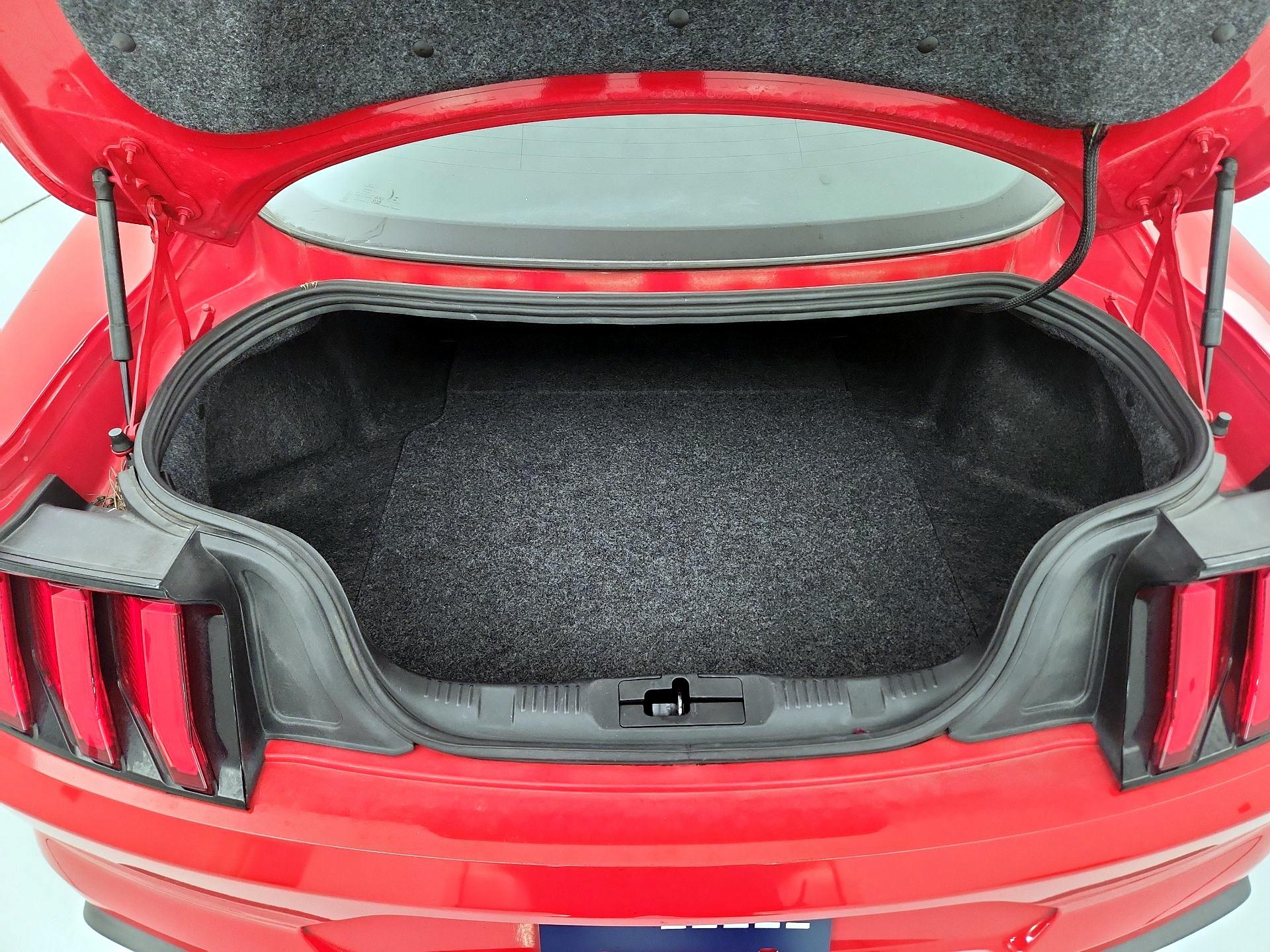 Thumbnail: 2019 Ford Mustang - 19