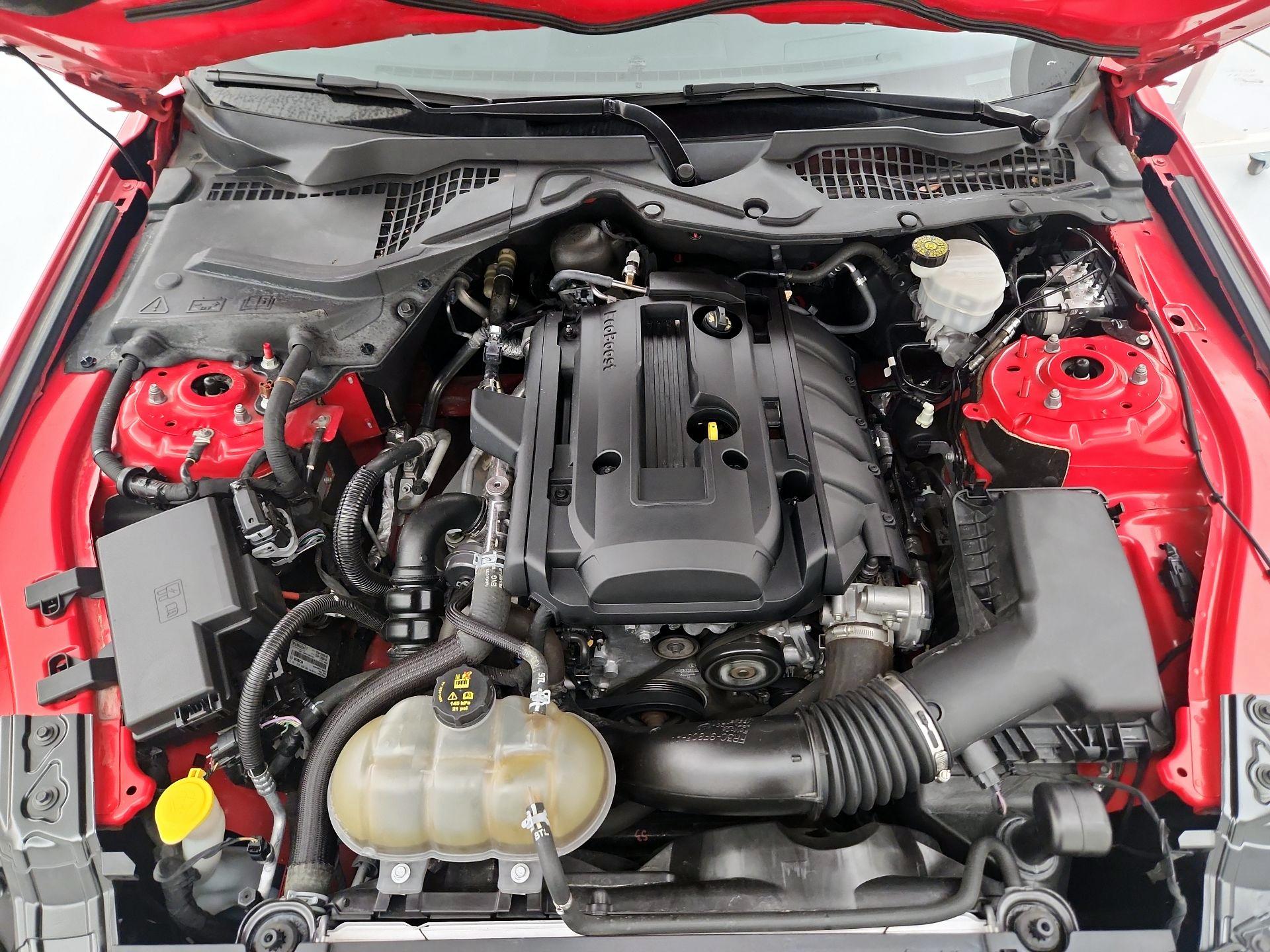 Thumbnail: 2019 Ford Mustang - 20