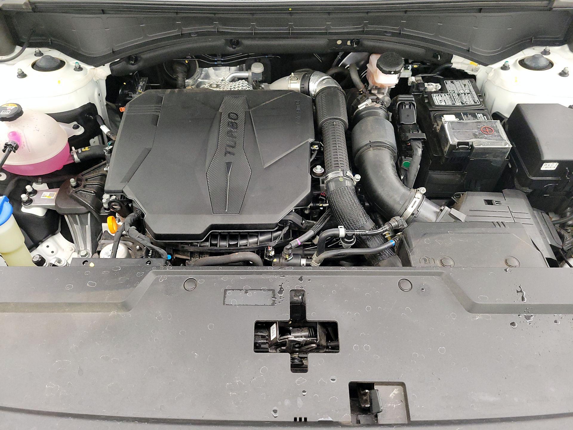 Thumbnail: 2024 Hyundai Santa Fe - 20