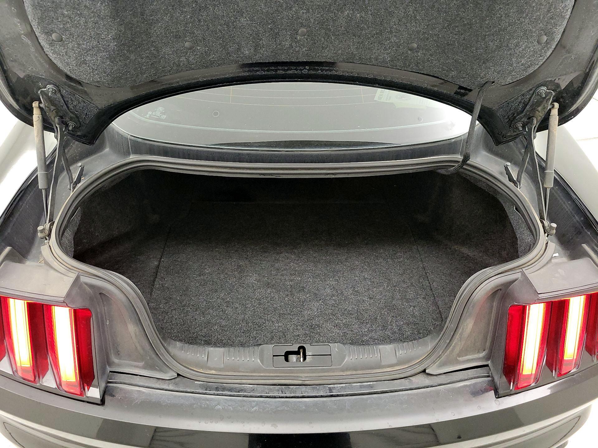 Thumbnail: 2015 Ford Mustang - 18