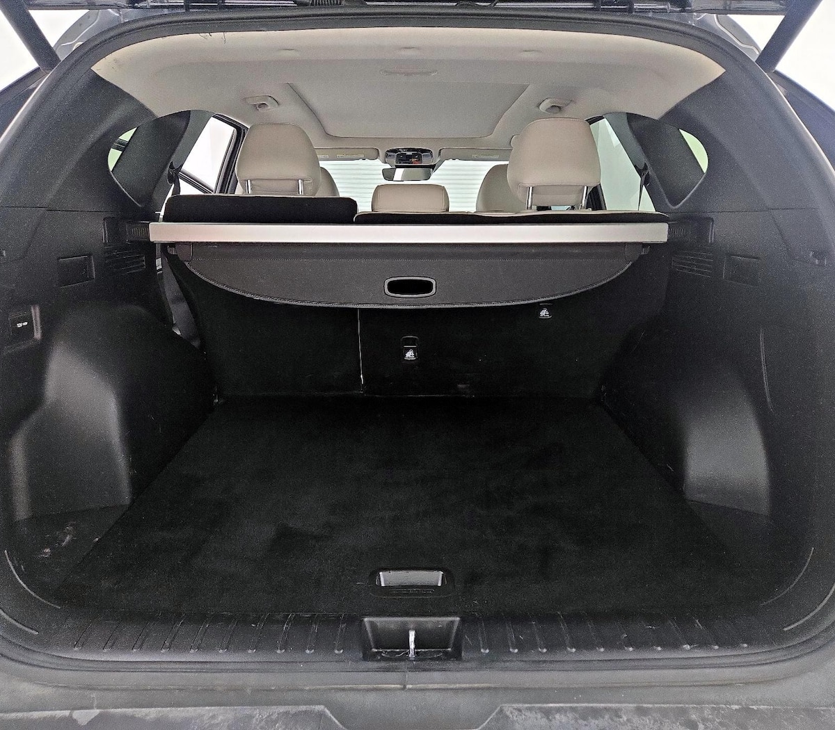 Trunk/Cargo (Seats Up)