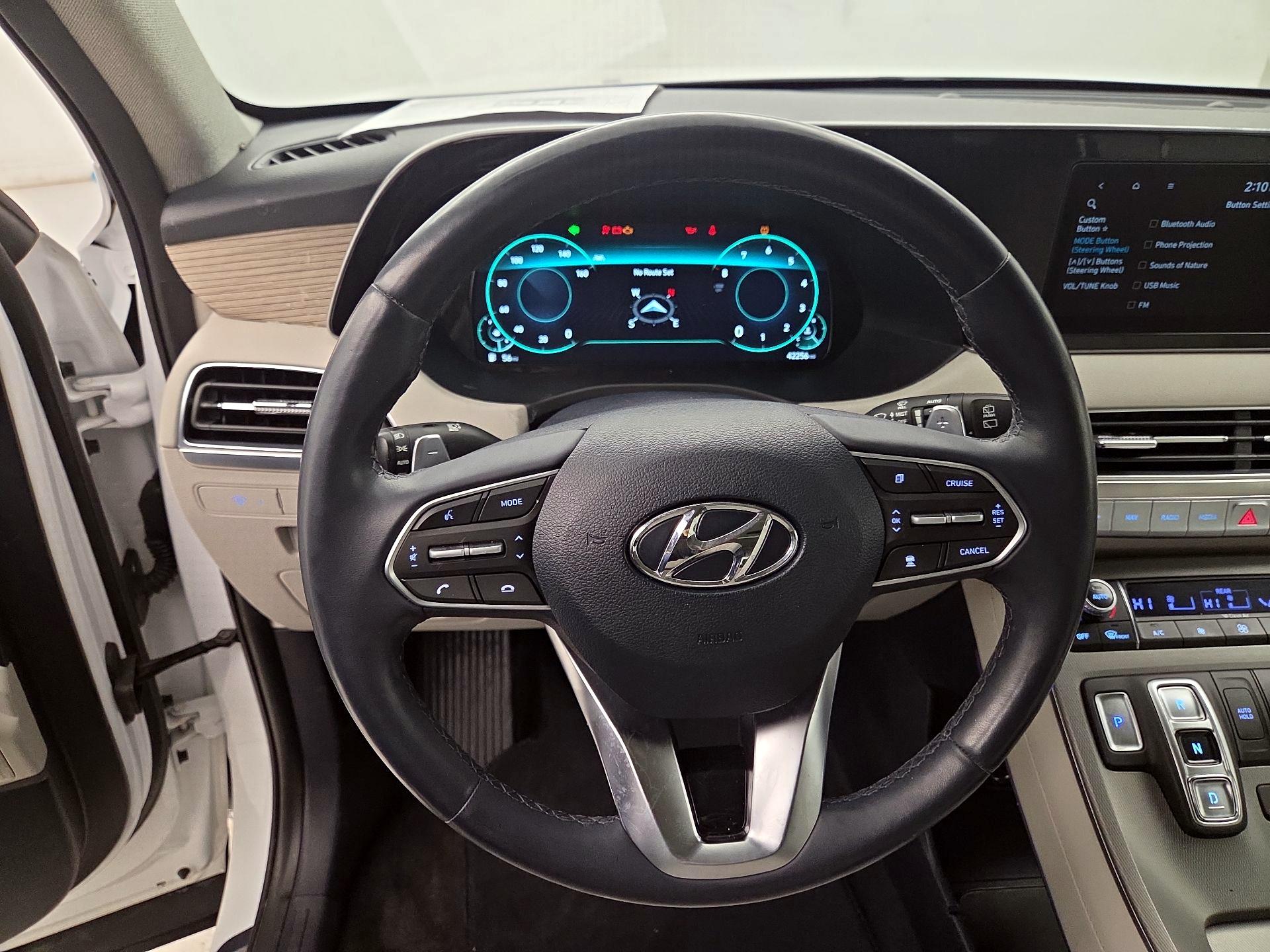 Thumbnail: 2021 Hyundai Palisade - 10