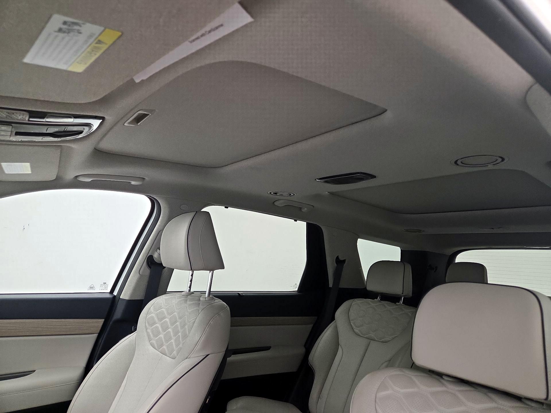 Thumbnail: 2021 Hyundai Palisade - 19