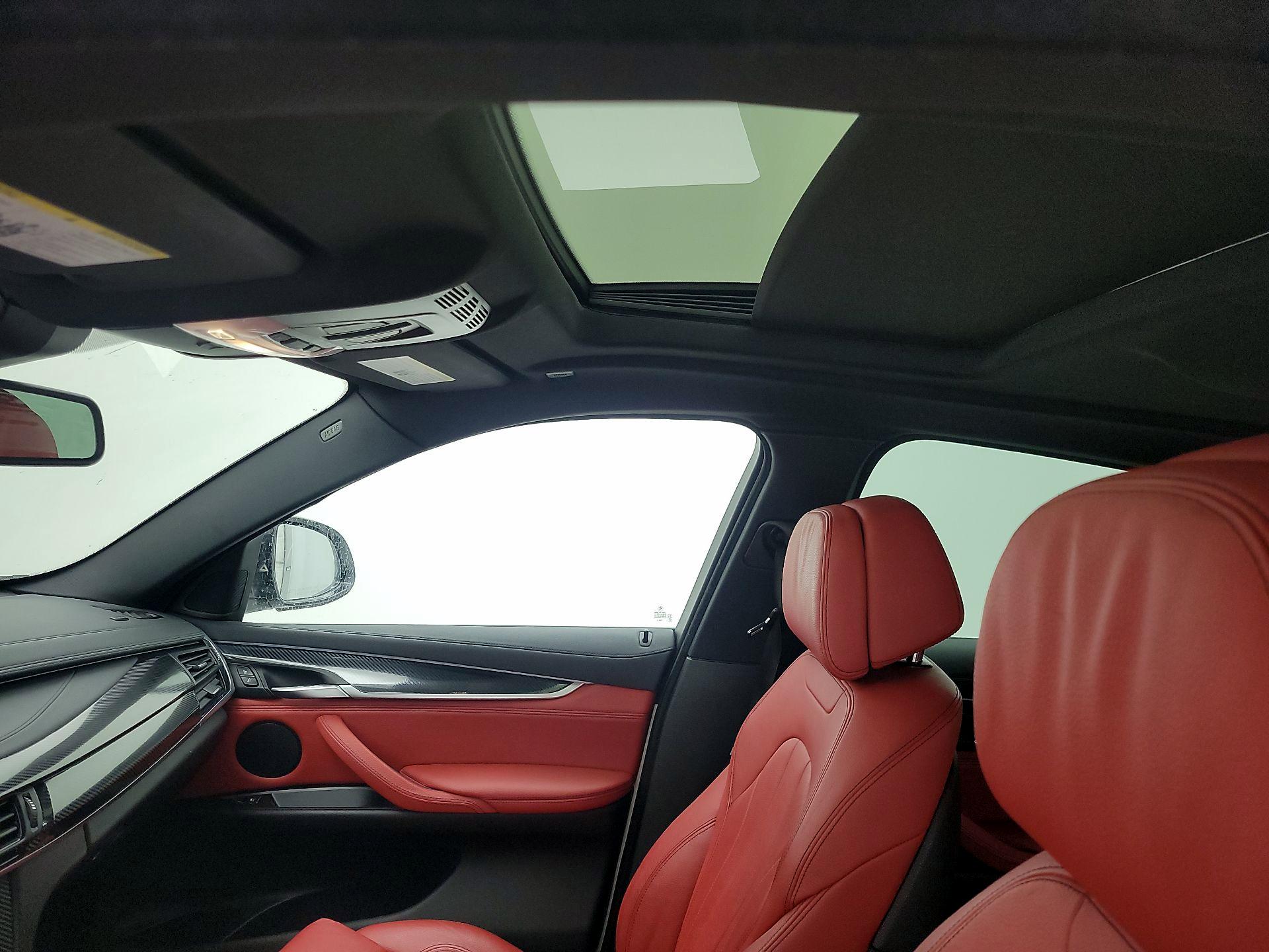 Thumbnail: 2018 BMW X6 - 19