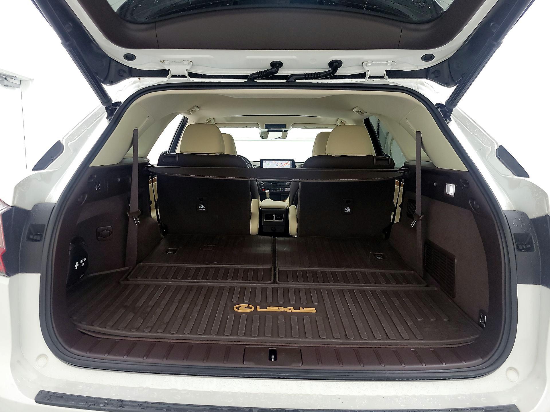 Thumbnail: 2018 Lexus RX - 20