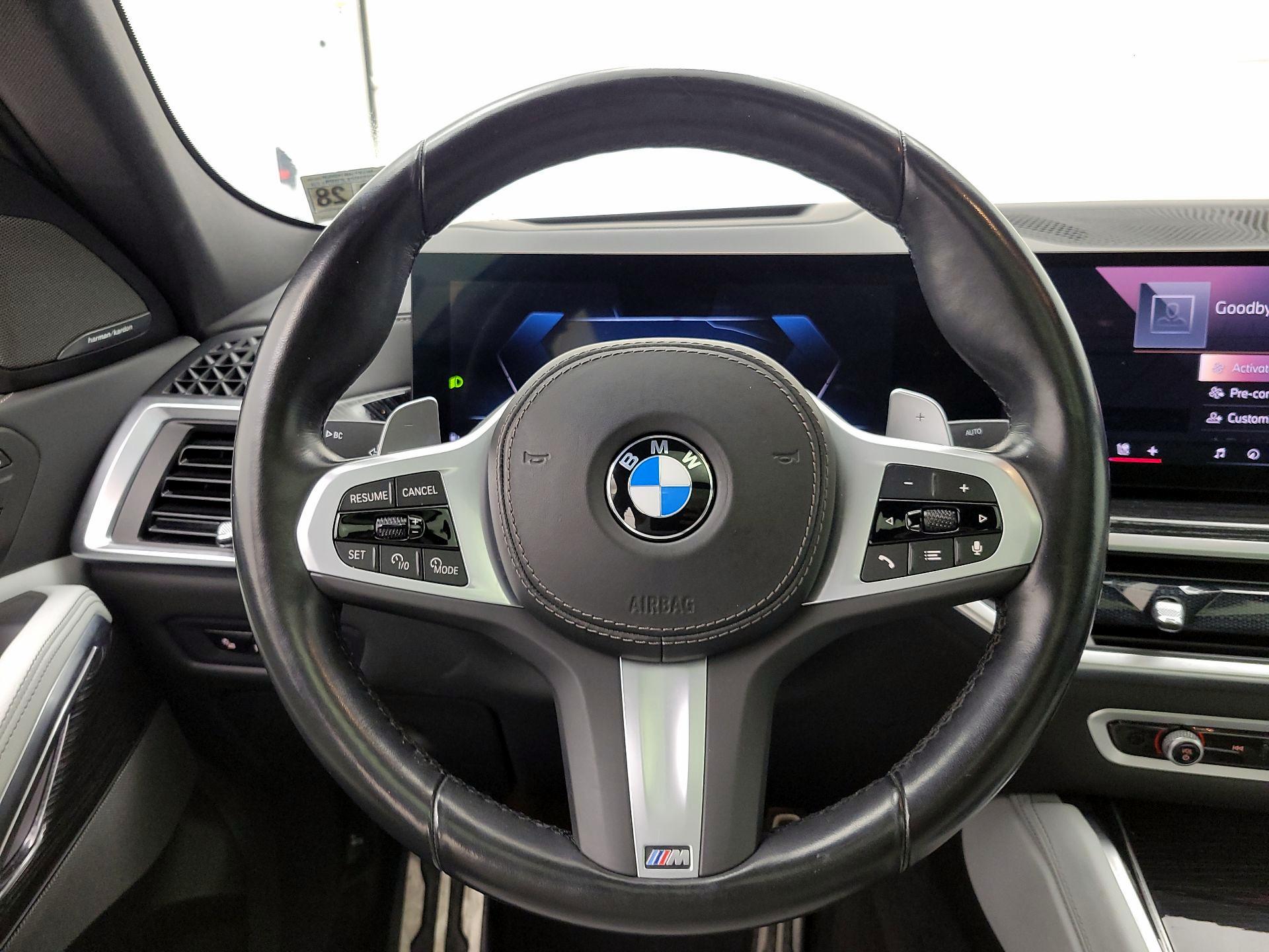 Thumbnail: 2024 BMW X6 - 10